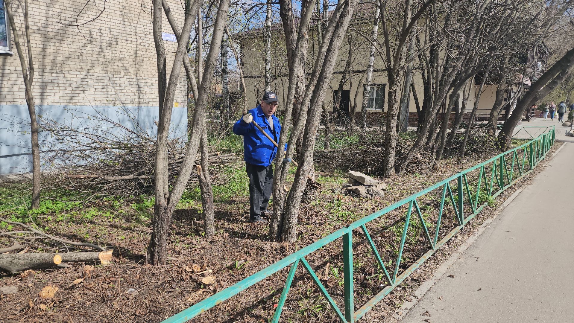 пушкино, субботник, благоустройство, уборка дворов, деревья,