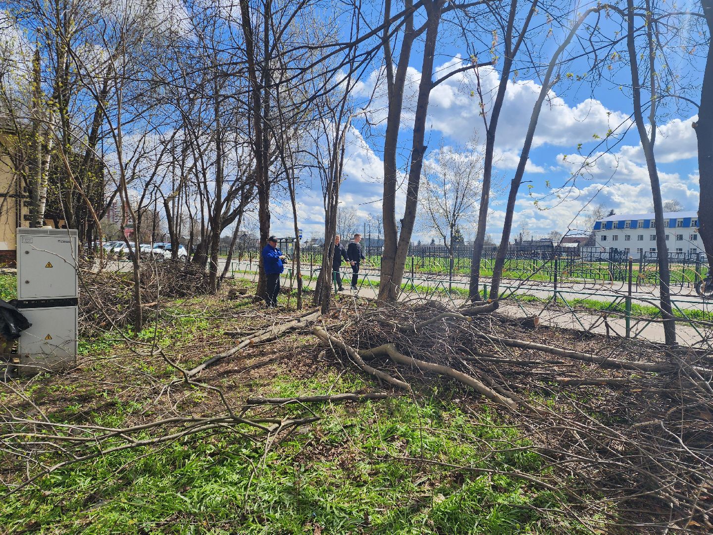 пушкино, субботник, благоустройство, уборка дворов, деревья,
