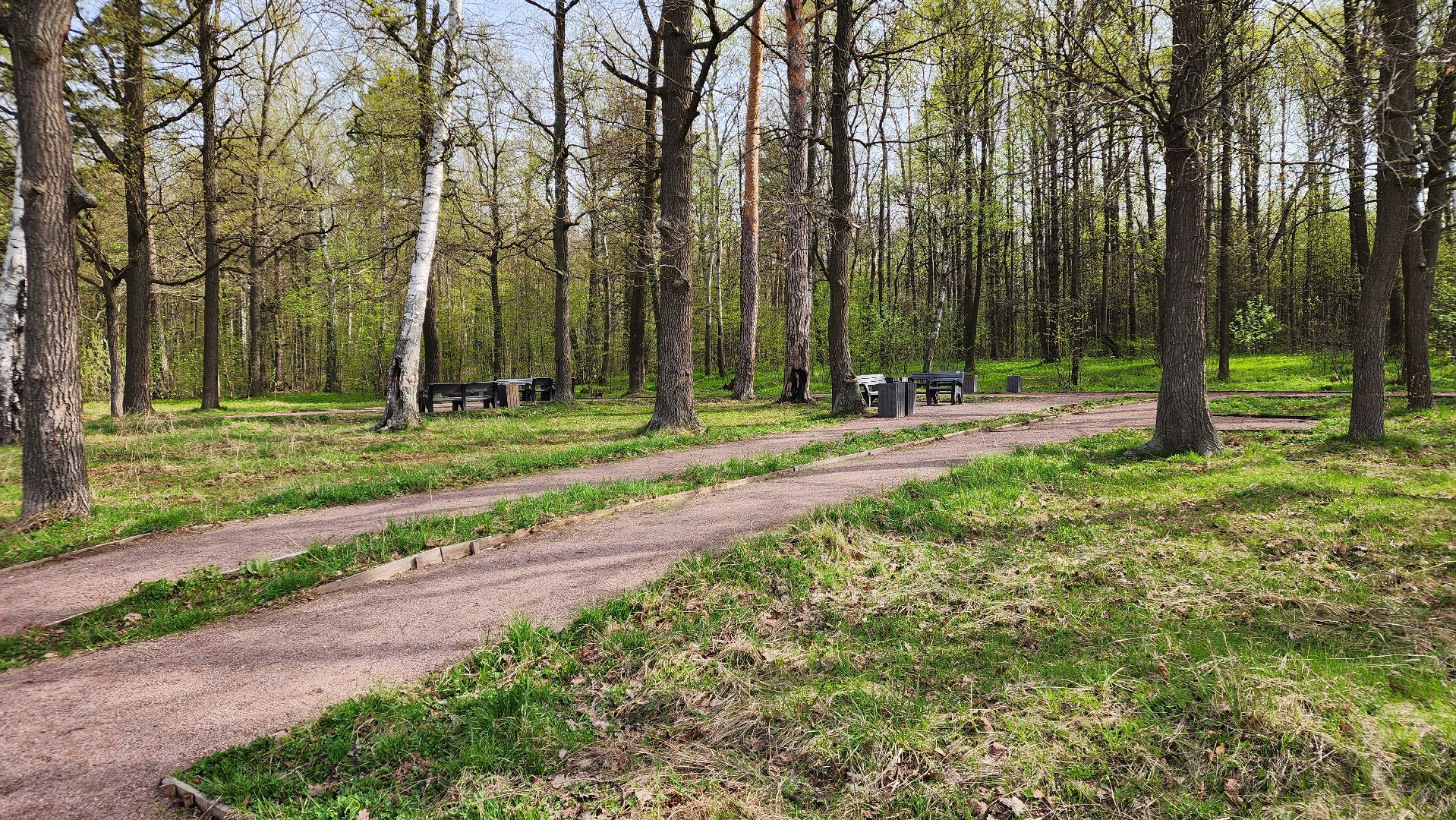 ступино, отдых в подмосковье, природа подмосковья,