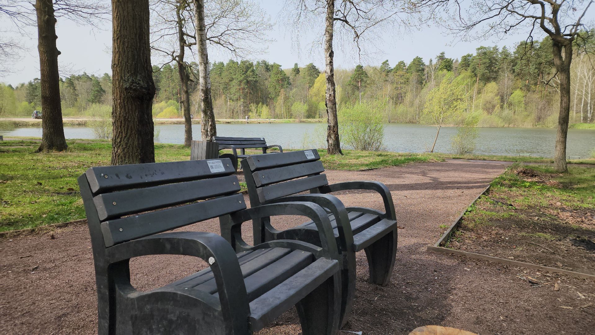 ступино, отдых в подмосковье, природа подмосковья,