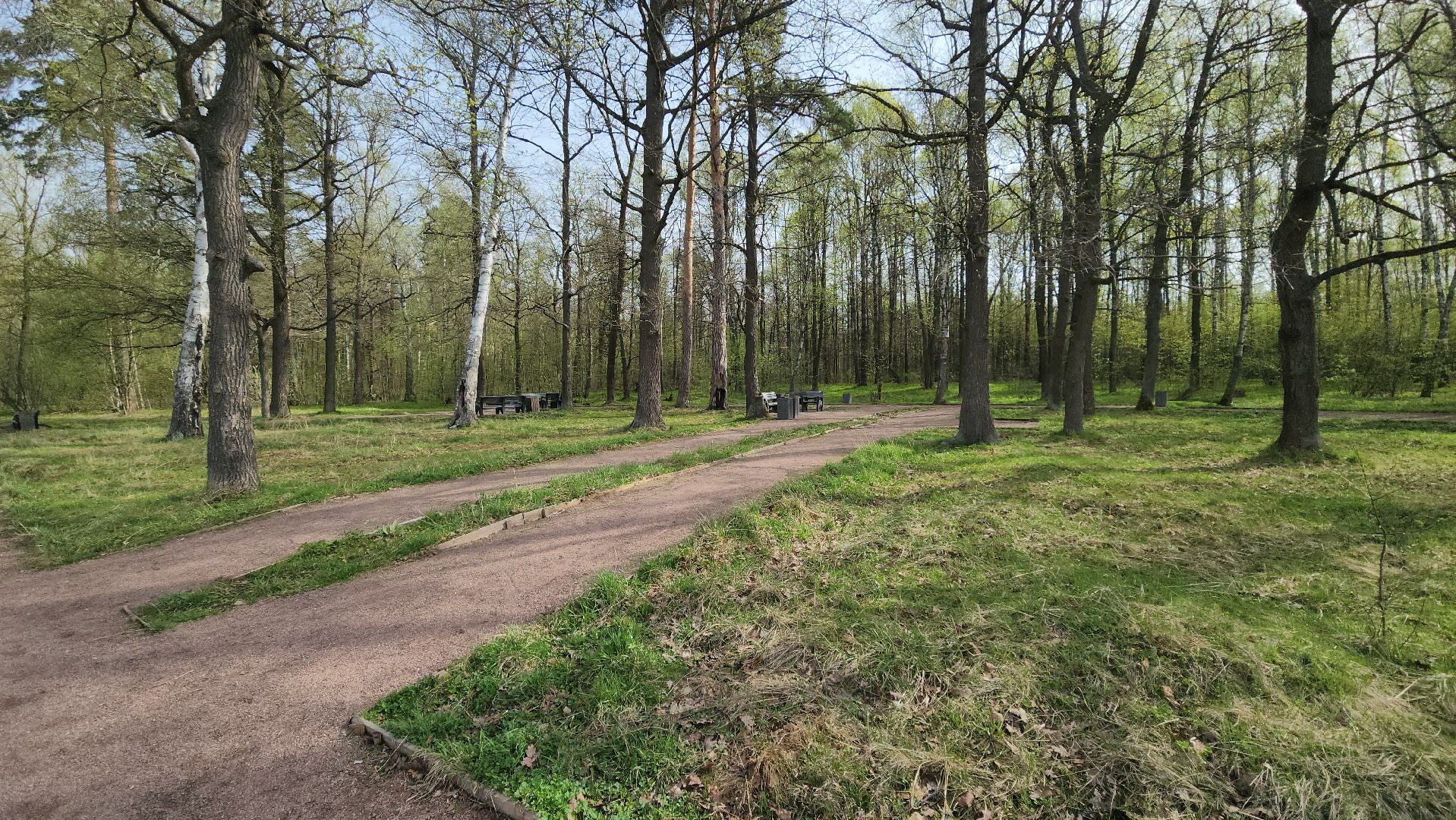 ступино, отдых в подмосковье, природа подмосковья,