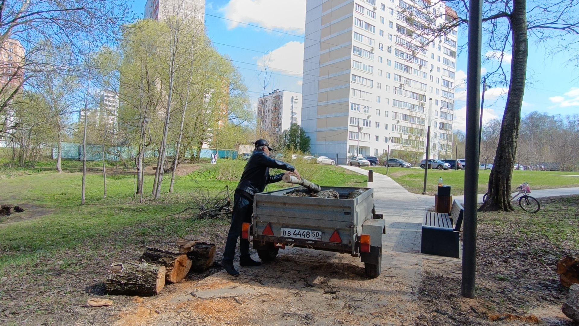 дерево, парк, лобня,