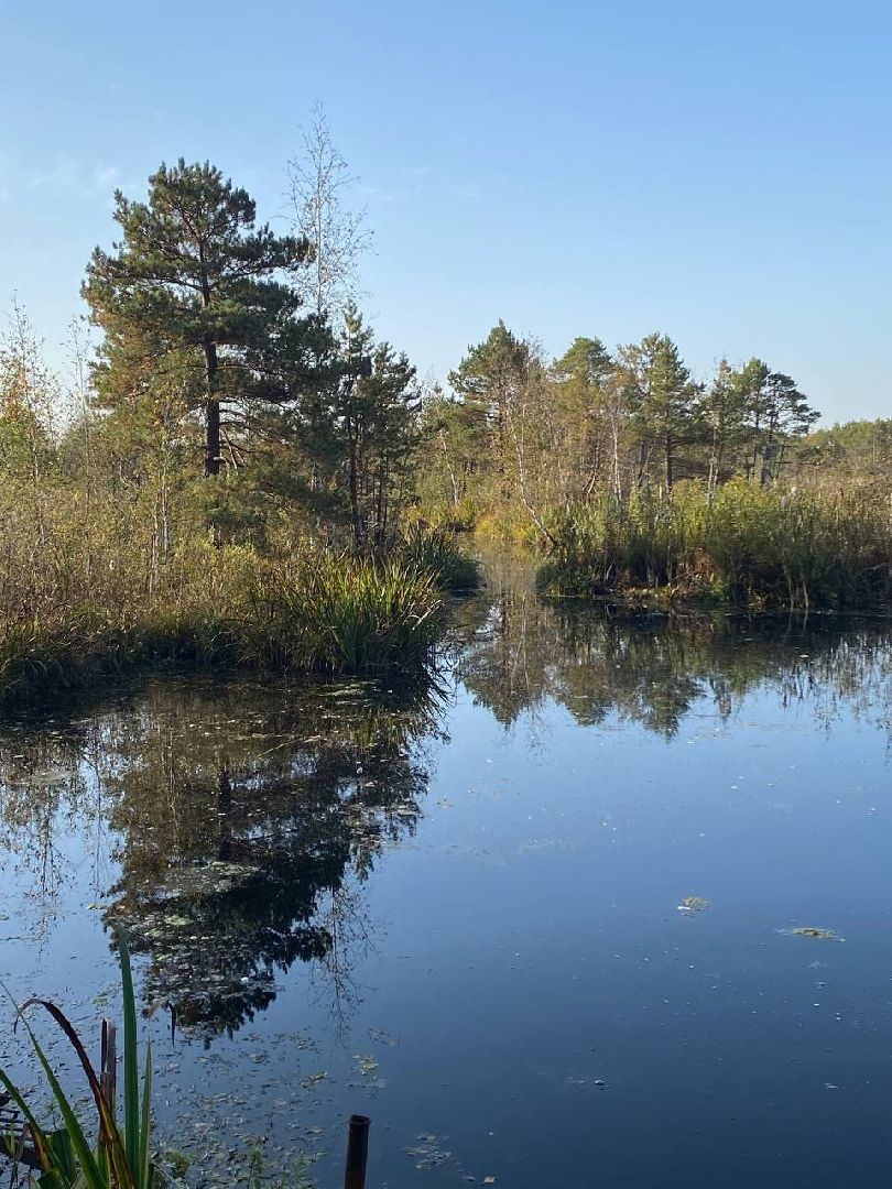 Звенигород, Культура, Туризм, Афиша мероприятий,