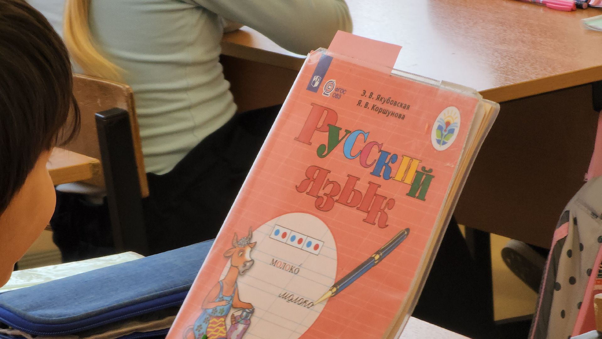 егорьевск, школа, овз, дети, образование, ограниченные возможности,