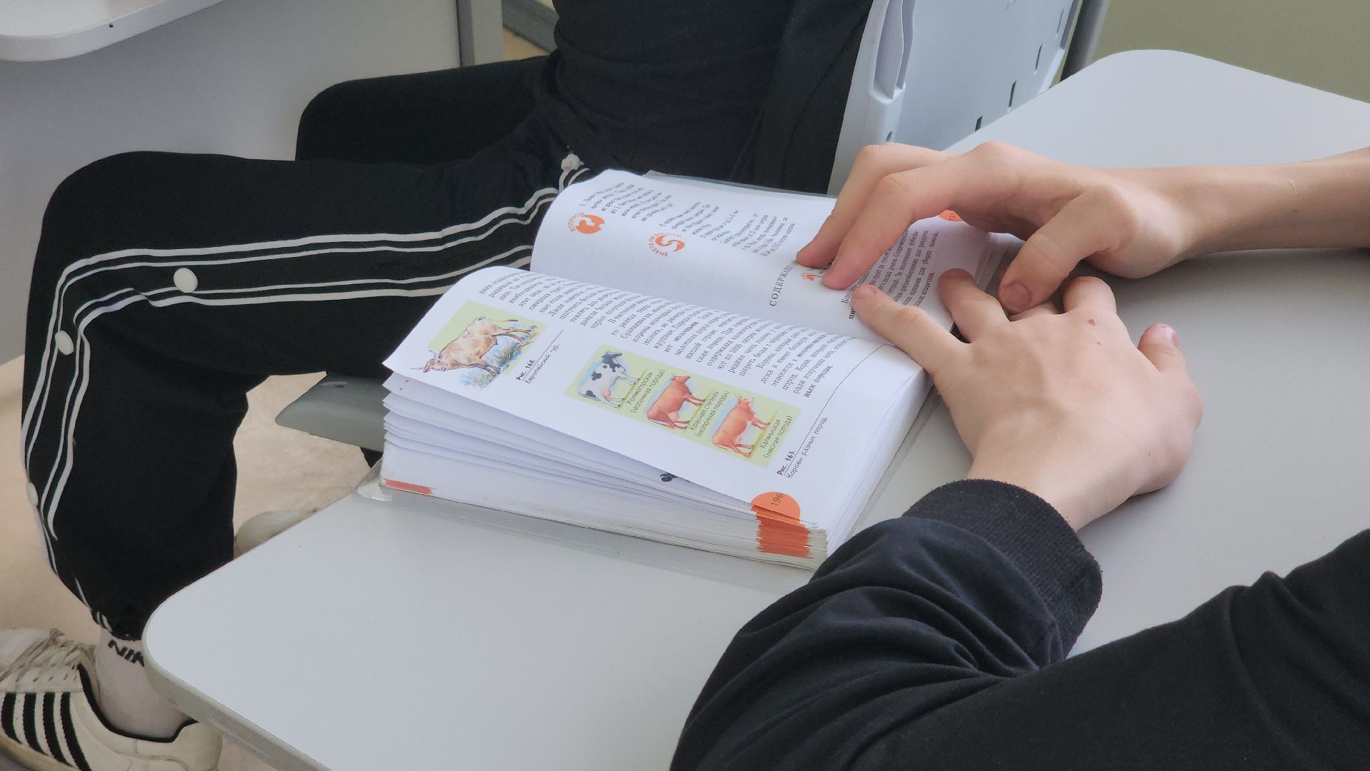 егорьевск, школа, овз, дети, образование, ограниченные возможности,