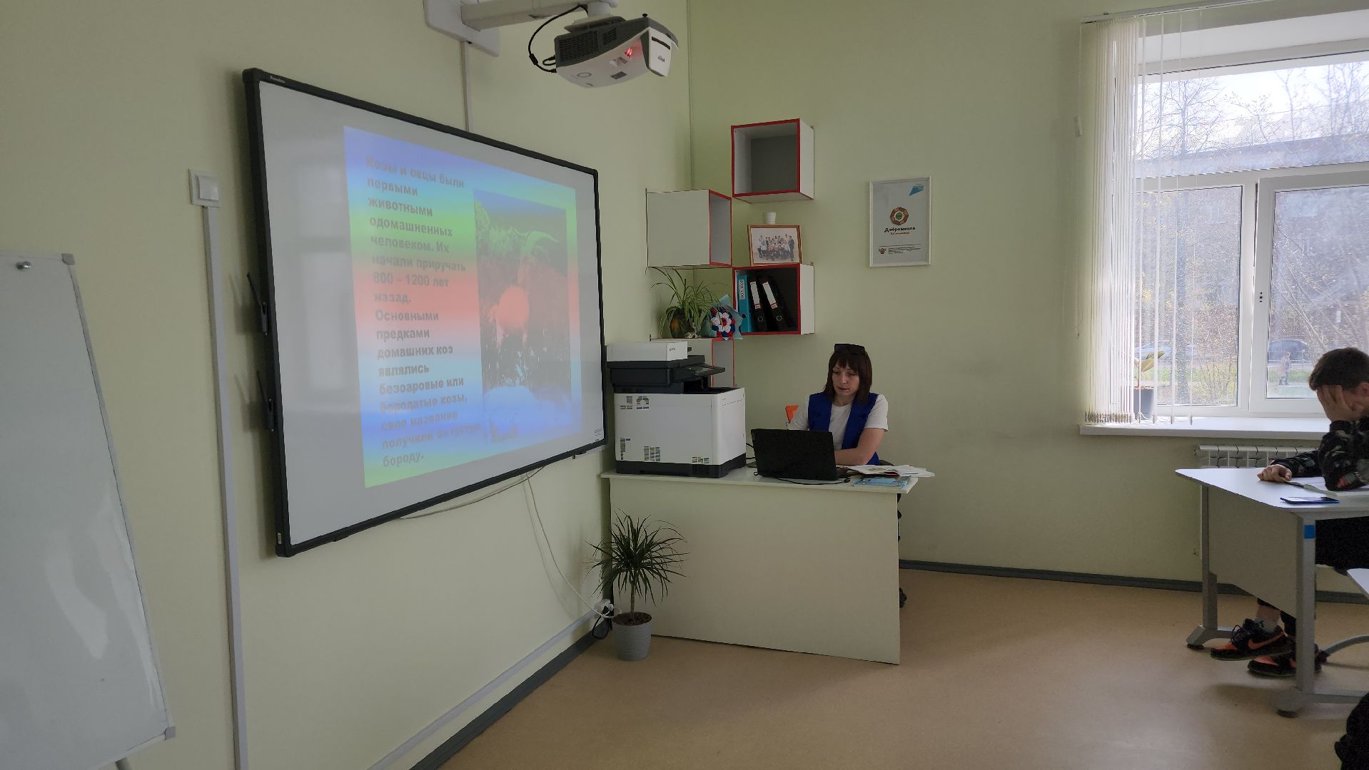 егорьевск, школа, овз, дети, образование, ограниченные возможности,