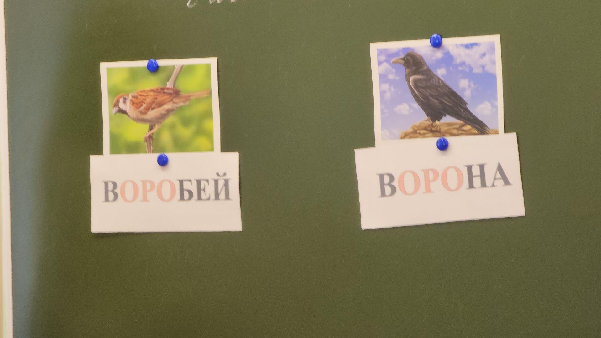 егорьевск, школа, овз, дети, образование, ограниченные возможности,