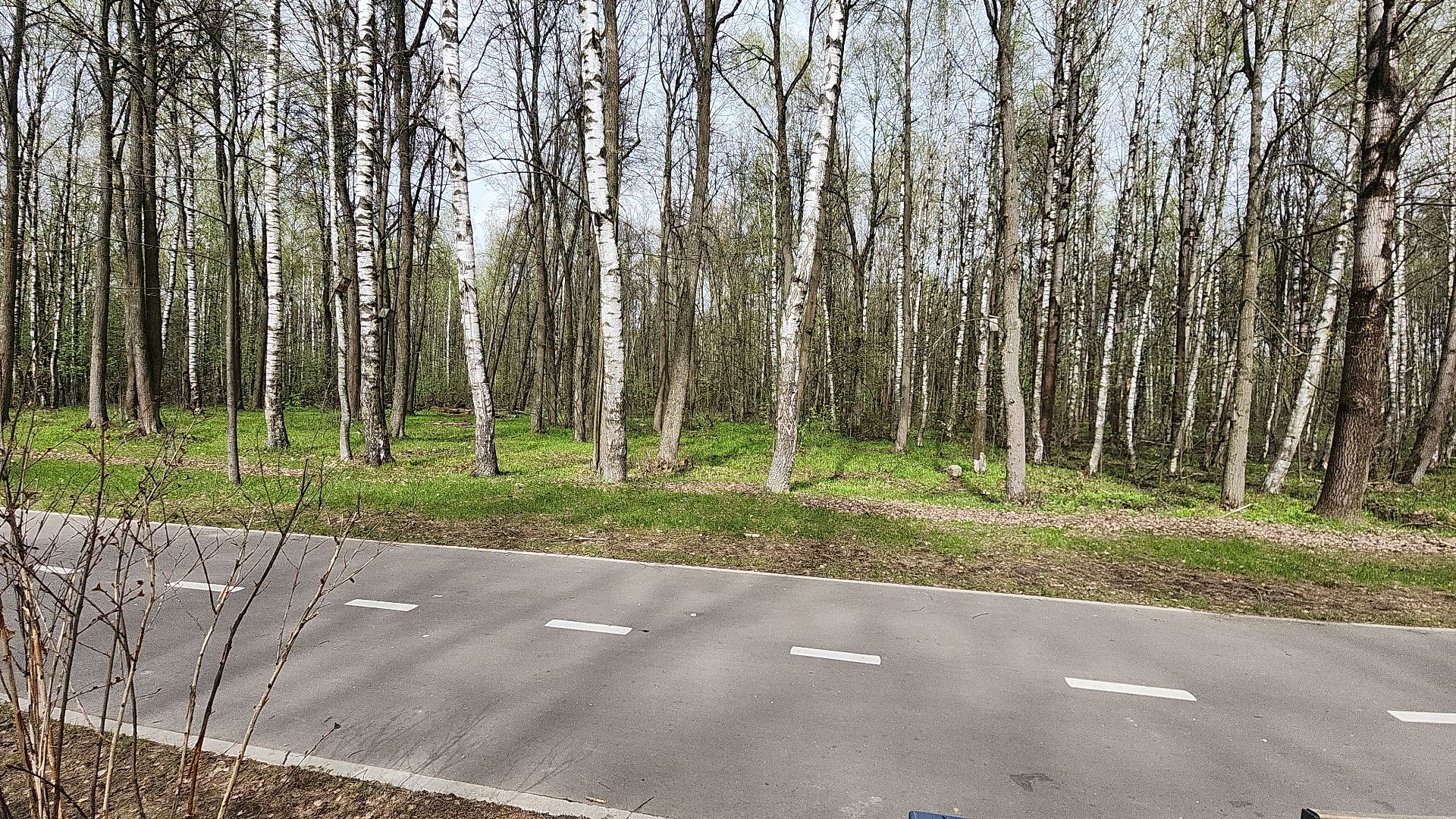 электросталь, мой город, жители города, безопасность, пожарная безопасность, пикник, пикниковые зоны, майские праздники,