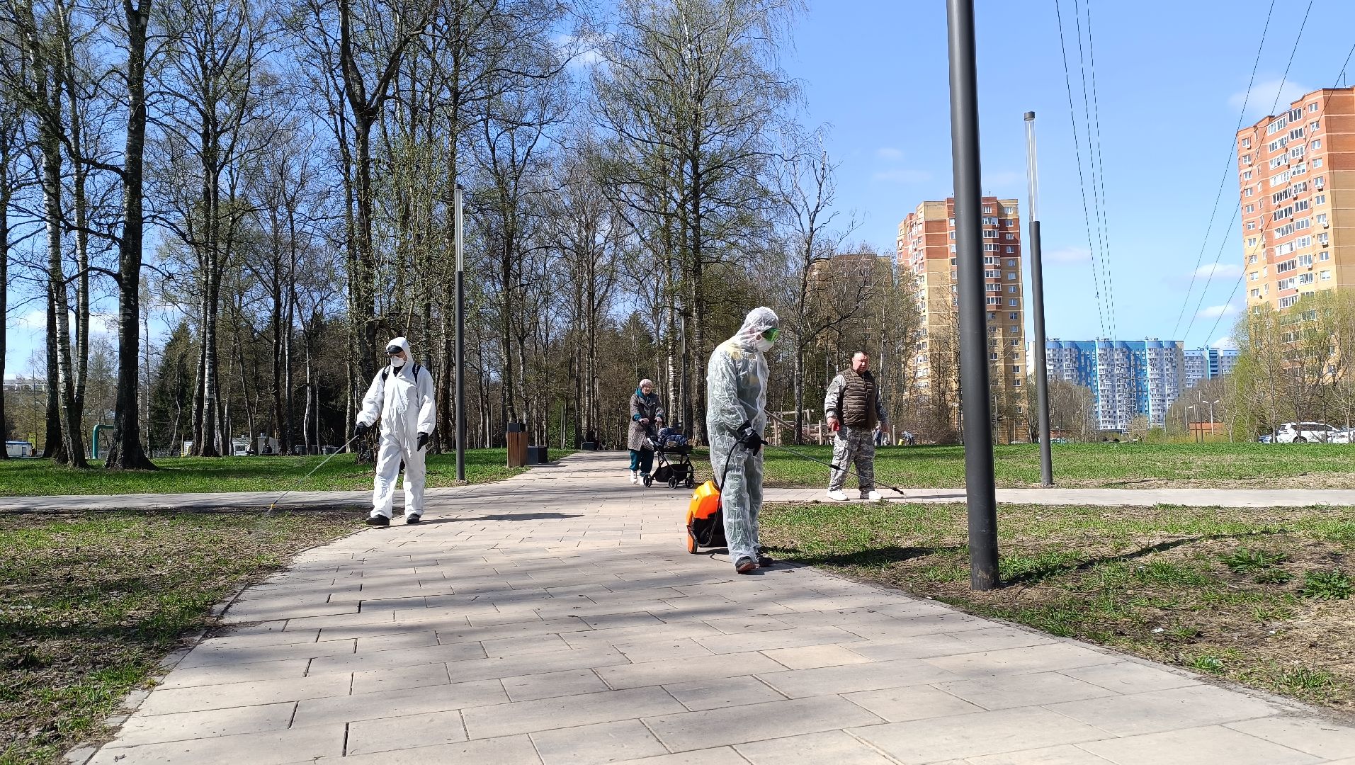 клещи, парк, дезинсекция, лобня,