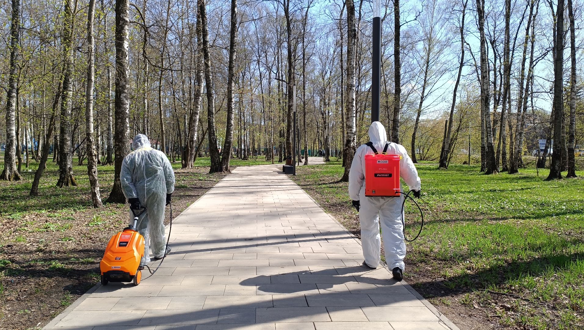 клещи, парк, дезинсекция, лобня,