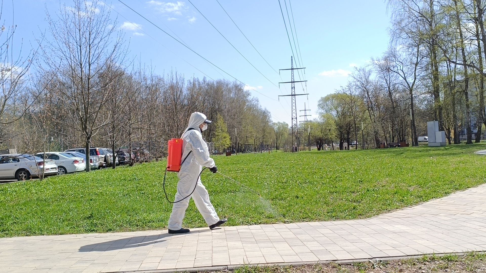 клещи, парк, дезинсекция, лобня,