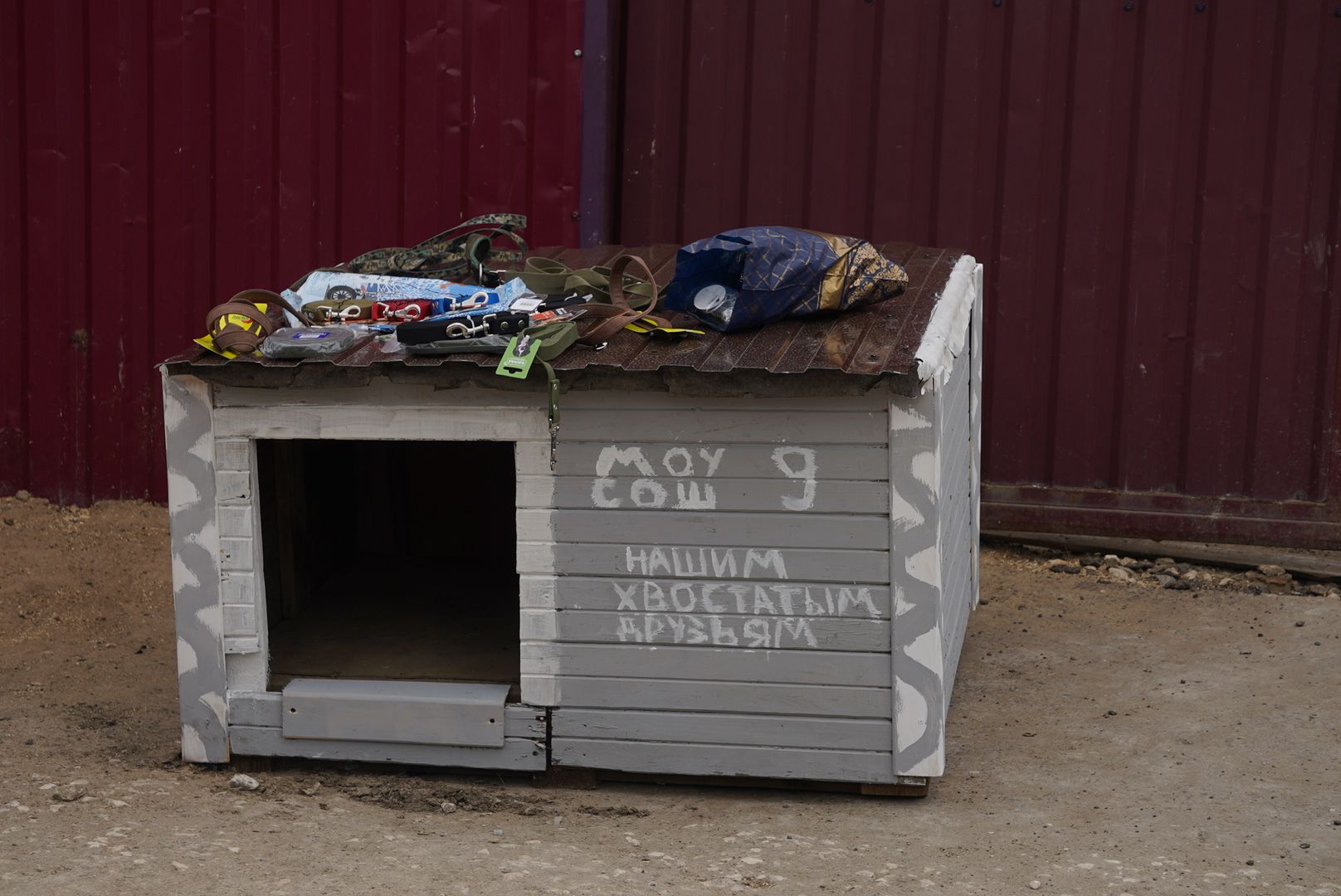 Павловский Посад, Городской округ Павловский Посад, молодежный парламент, Животные, Активисты, Жители, Акция,