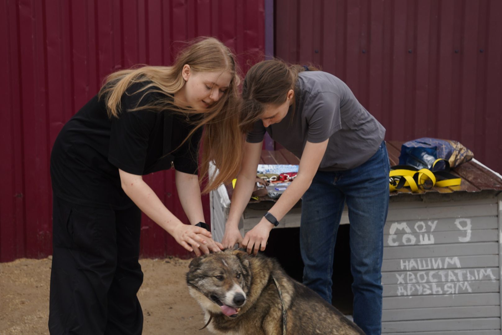 Павловский Посад, Городской округ Павловский Посад, молодежный парламент, Животные, Активисты, Жители, Акция,
