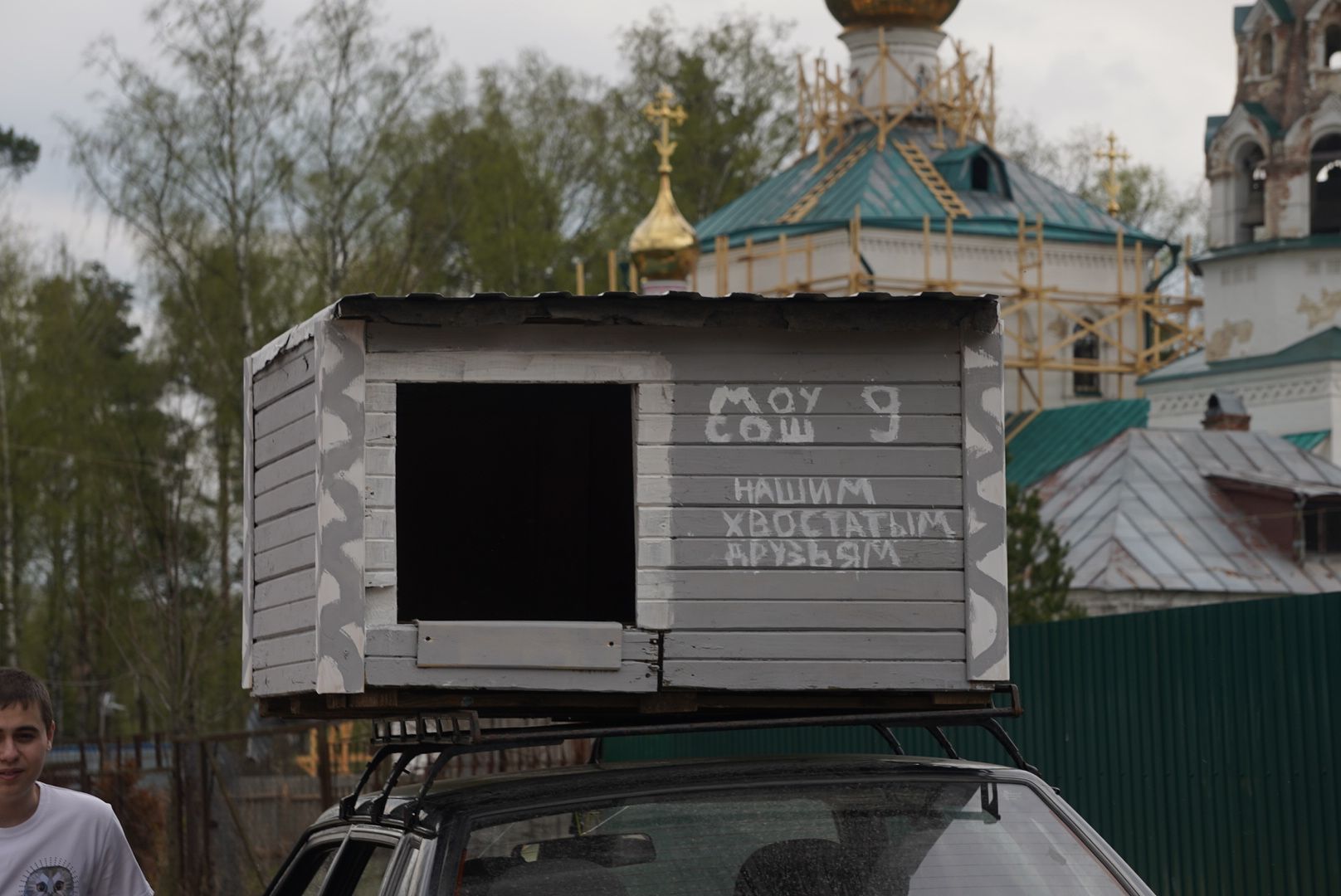 Павловский Посад, Городской округ Павловский Посад, молодежный парламент, Животные, Активисты, Жители, Акция,