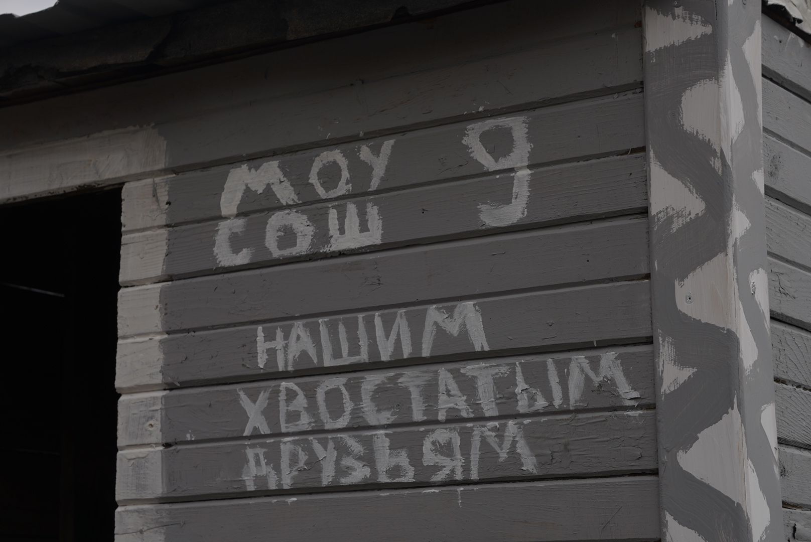 Павловский Посад, Городской округ Павловский Посад, молодежный парламент, Животные, Активисты, Жители, Акция,