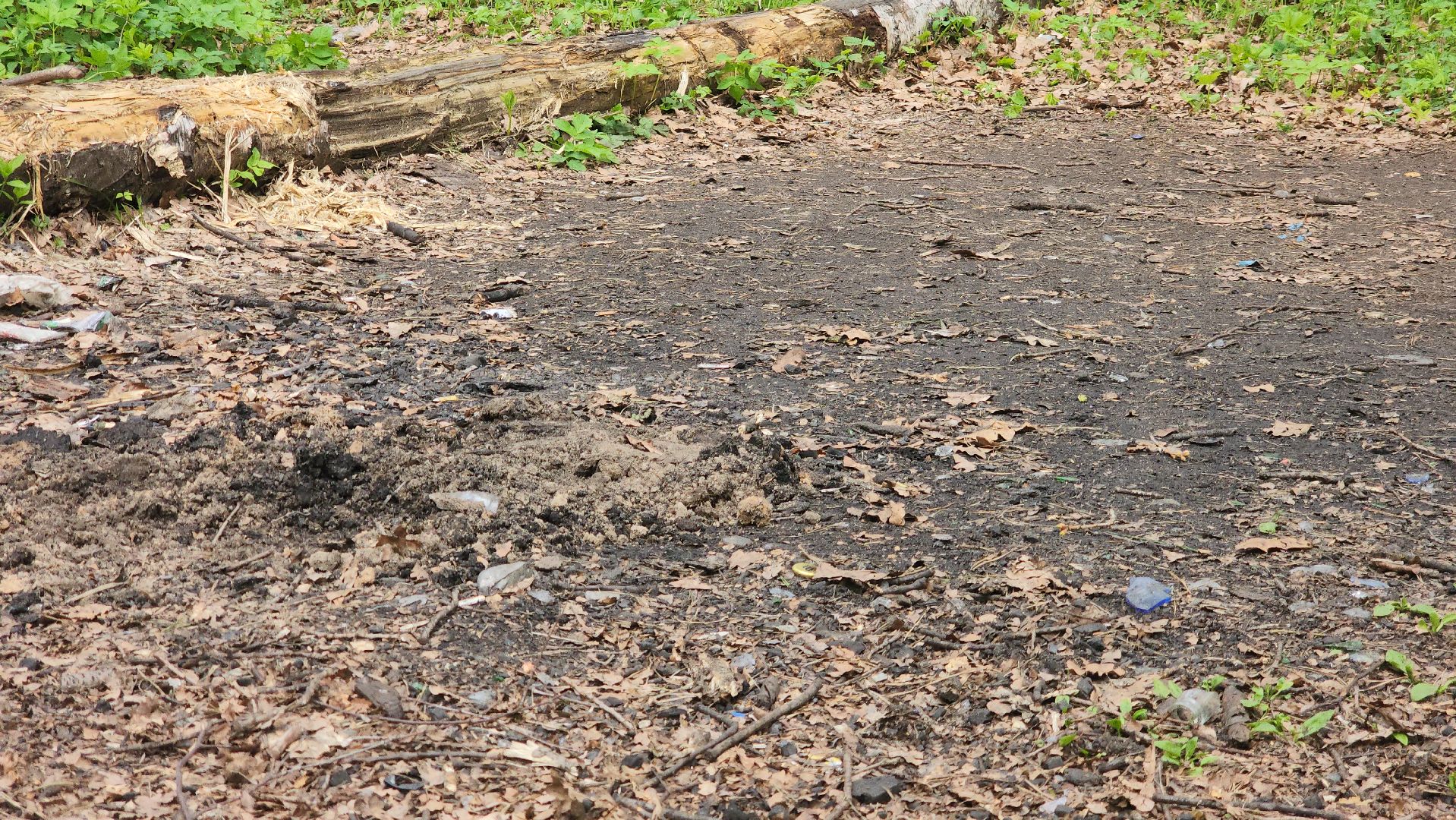 пожароопасный сезон, штрафы за разведение костров, экология подмосковья, отдых в подмосковье,