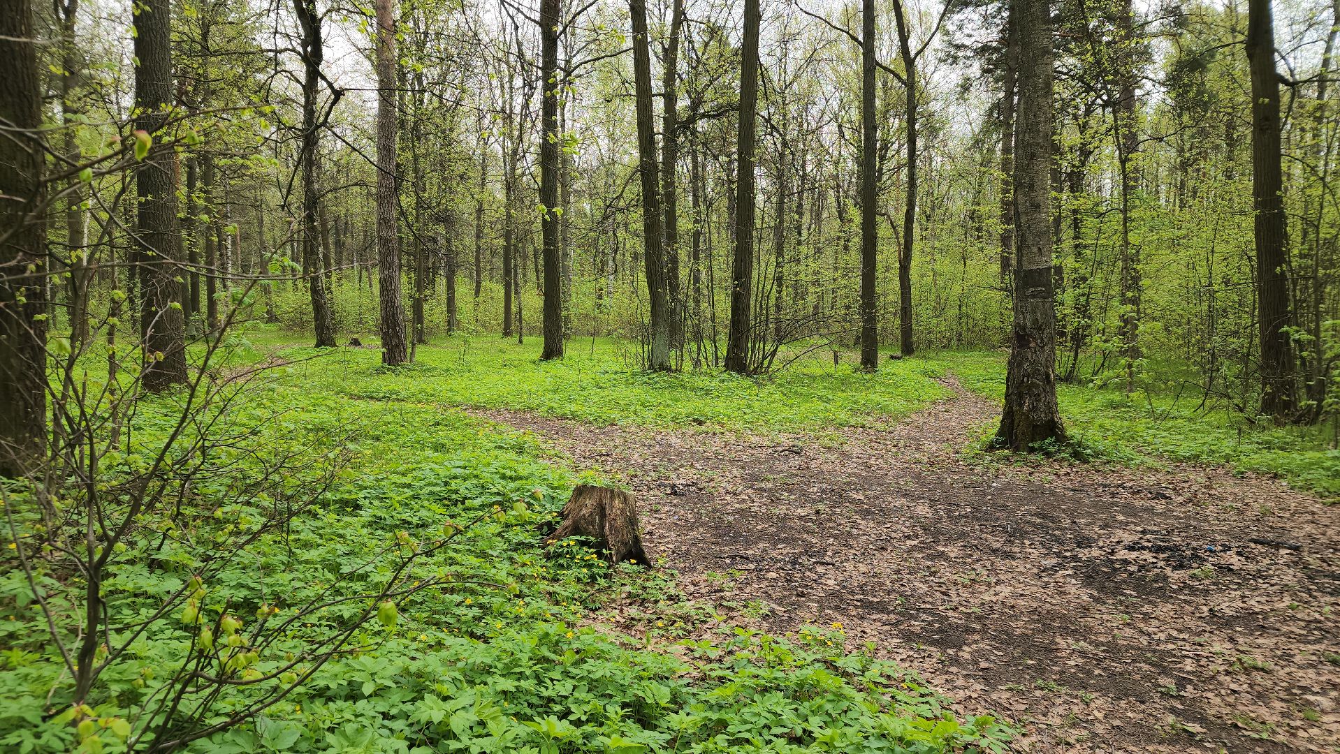 пожароопасный сезон, штрафы за разведение костров, экология подмосковья, отдых в подмосковье,