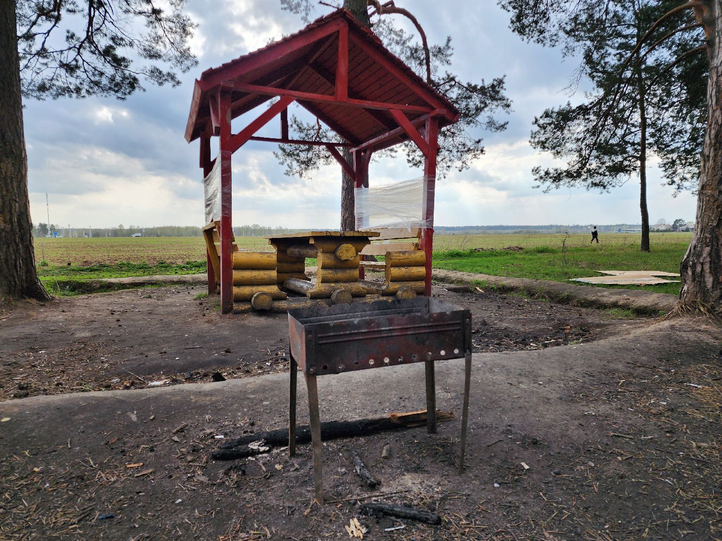 Черноголовка, пикниковые зоны, Штрафы,