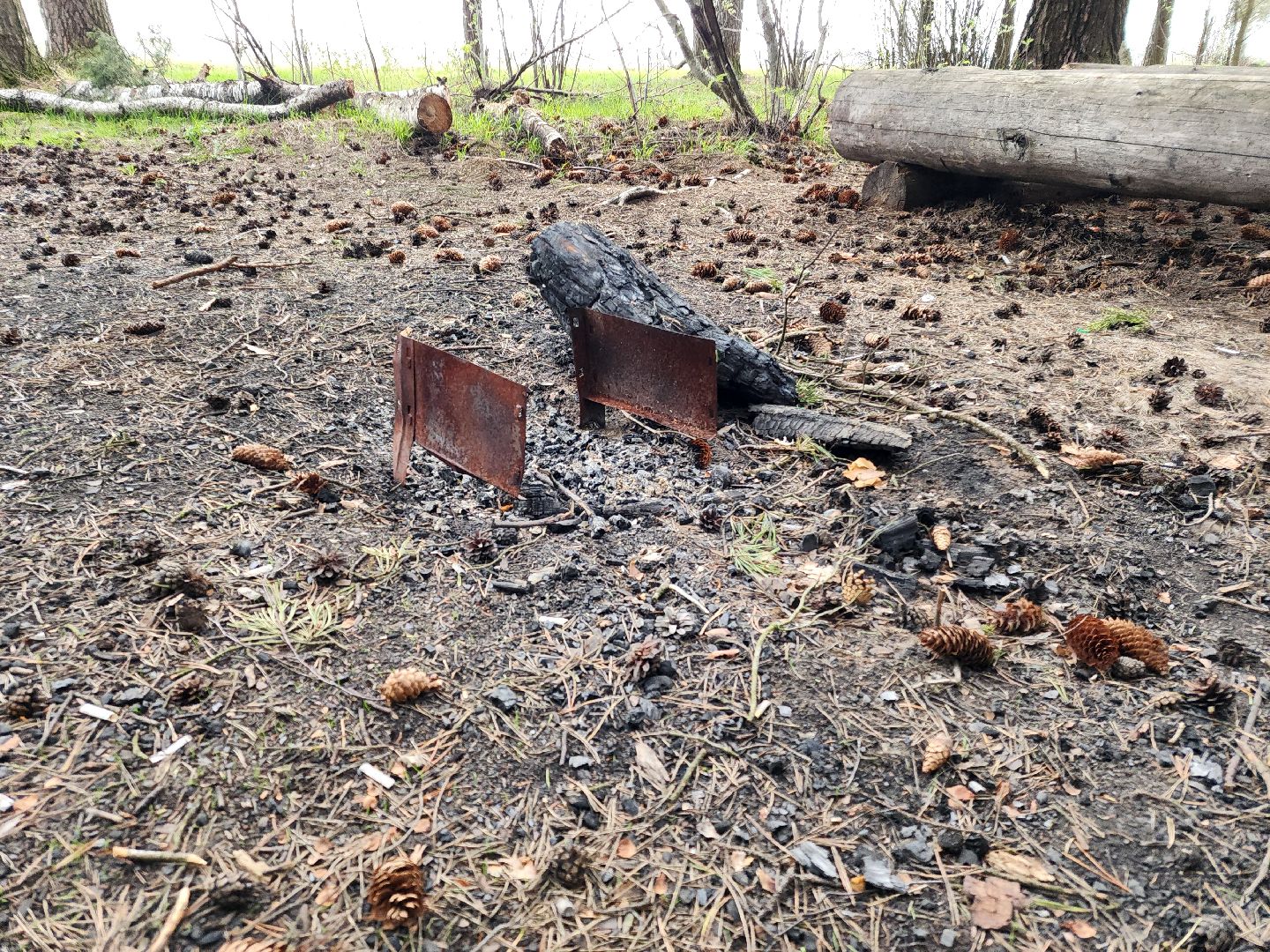 Черноголовка, пикниковые зоны, Штрафы,