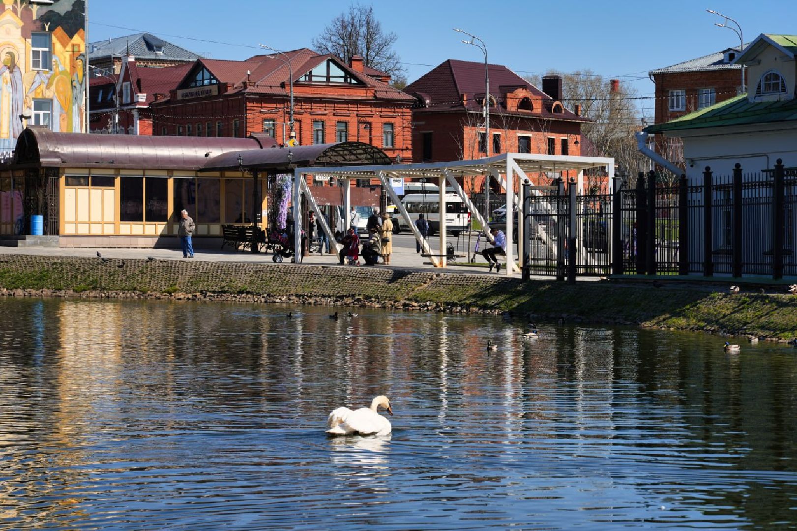 Сергиев Посад, Лебеди, Белый пруд, Общество, Жители, Природа,