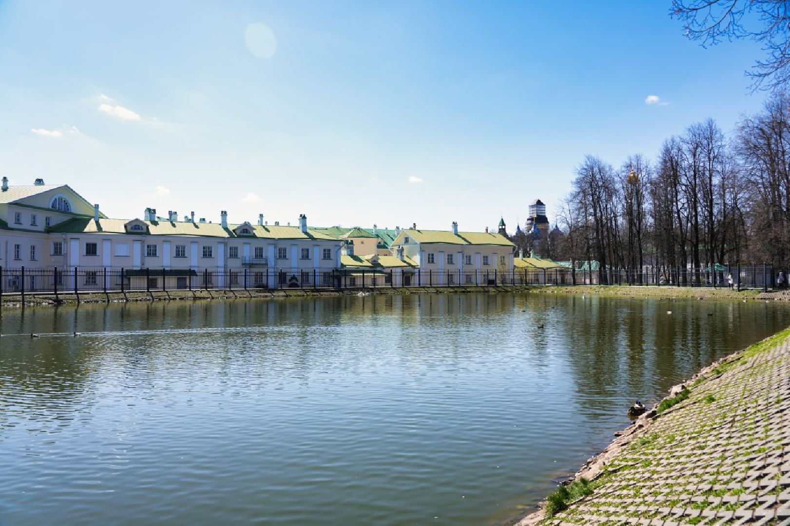 Сергиев Посад, Лебеди, Белый пруд, Общество, Жители, Природа,