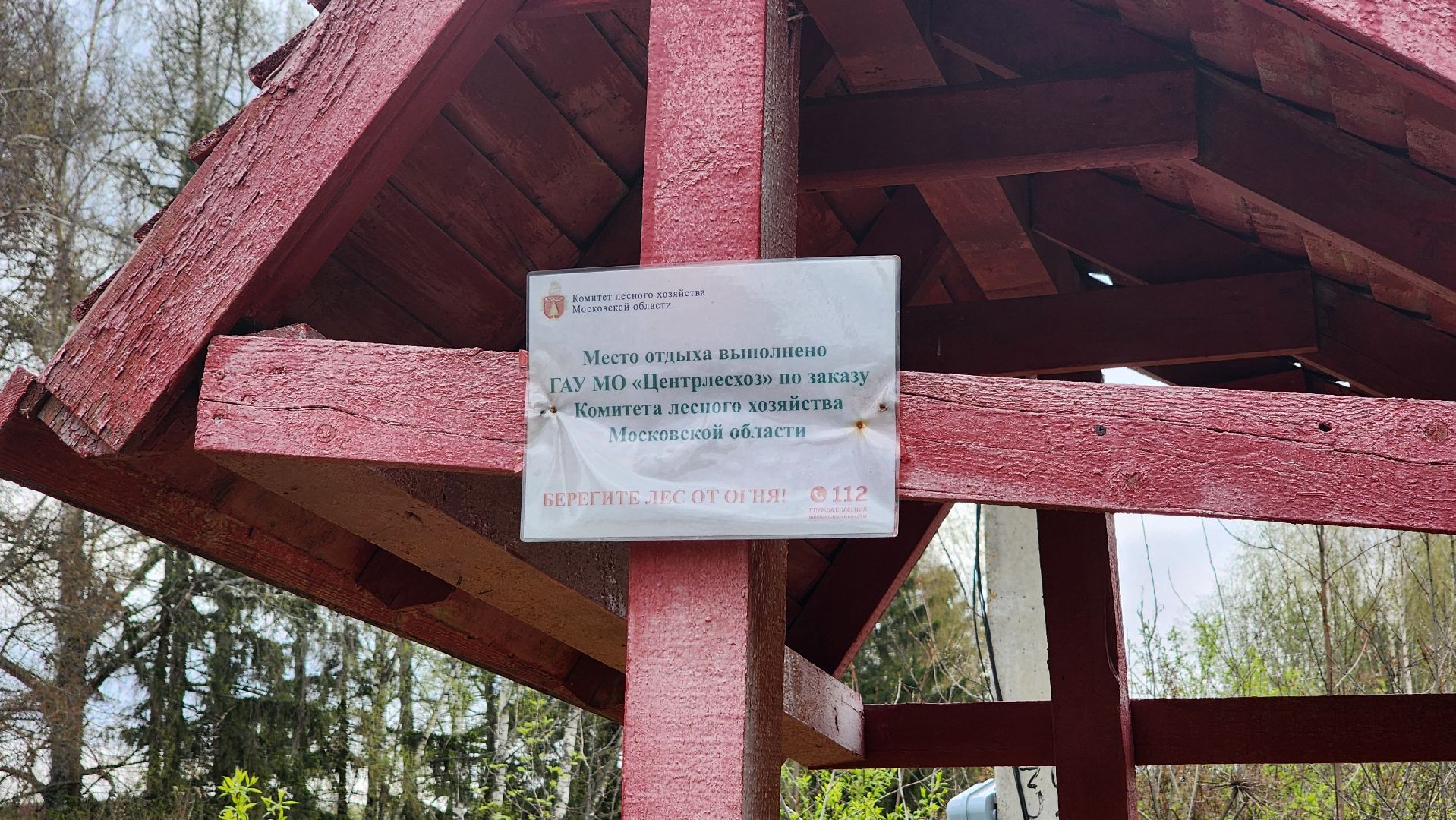 Солнечногорск, Пешки, Лесхоз, пикник,