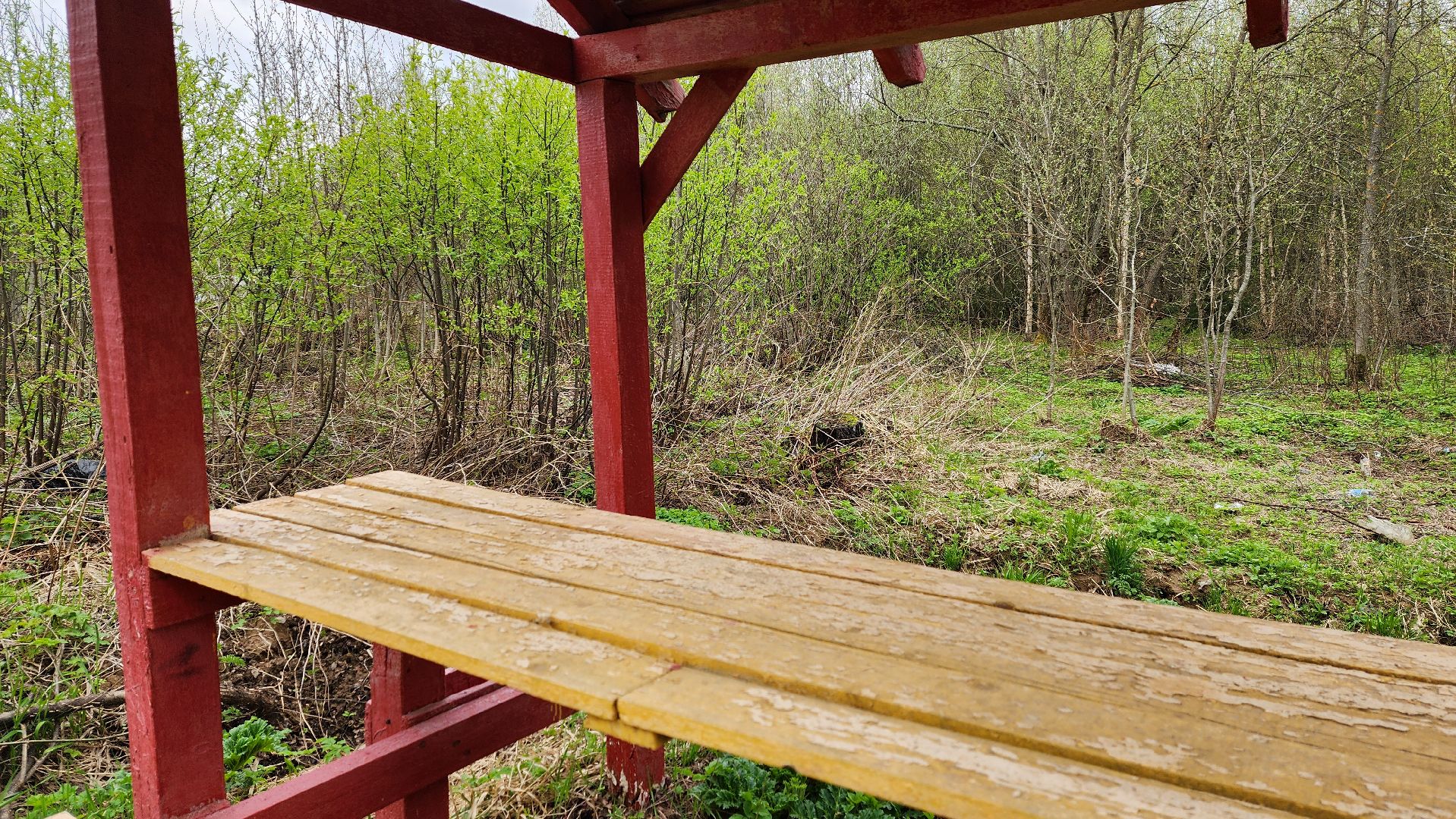 Солнечногорск, Пешки, Лесхоз, пикник,