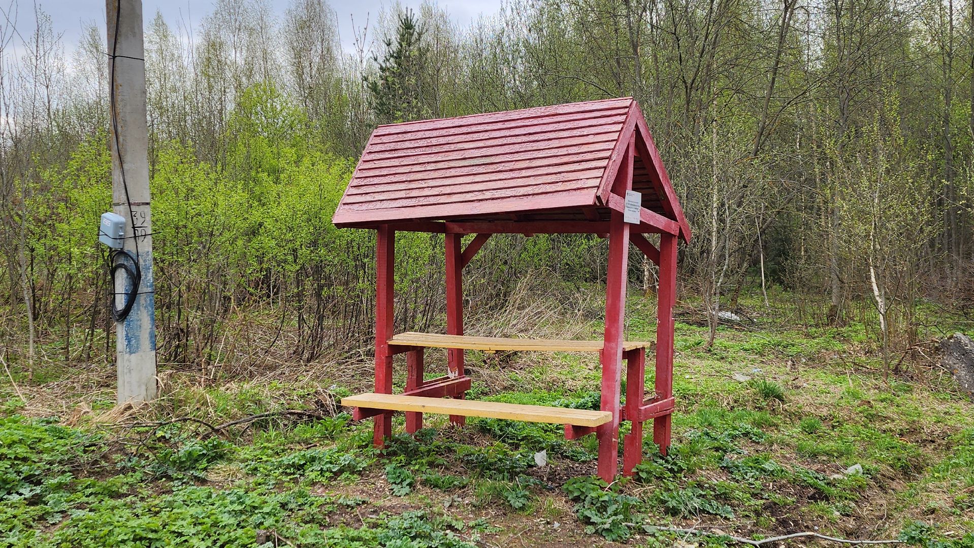 Солнечногорск, Пешки, Лесхоз, пикник,