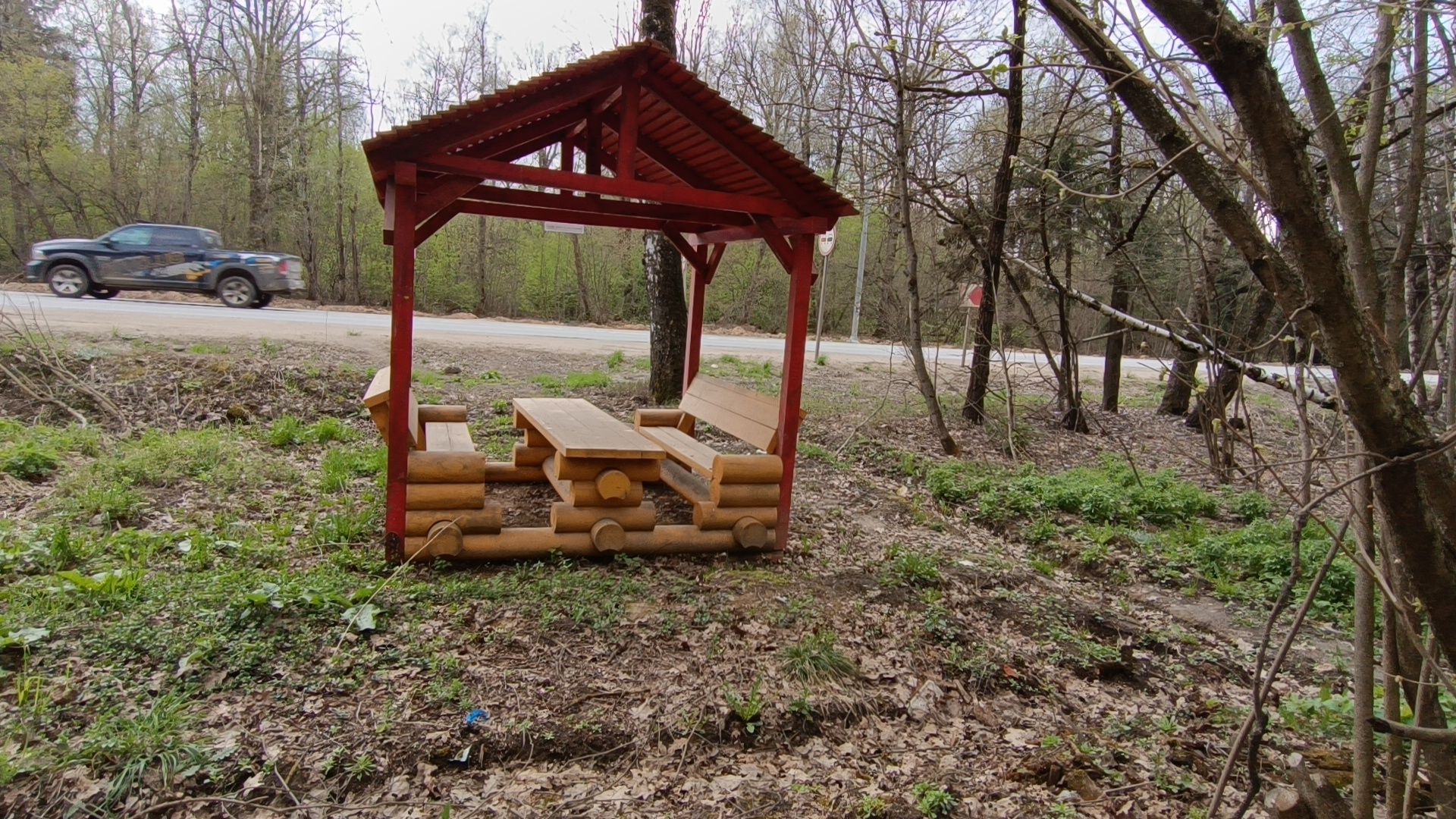 пикник, лобня, костер,