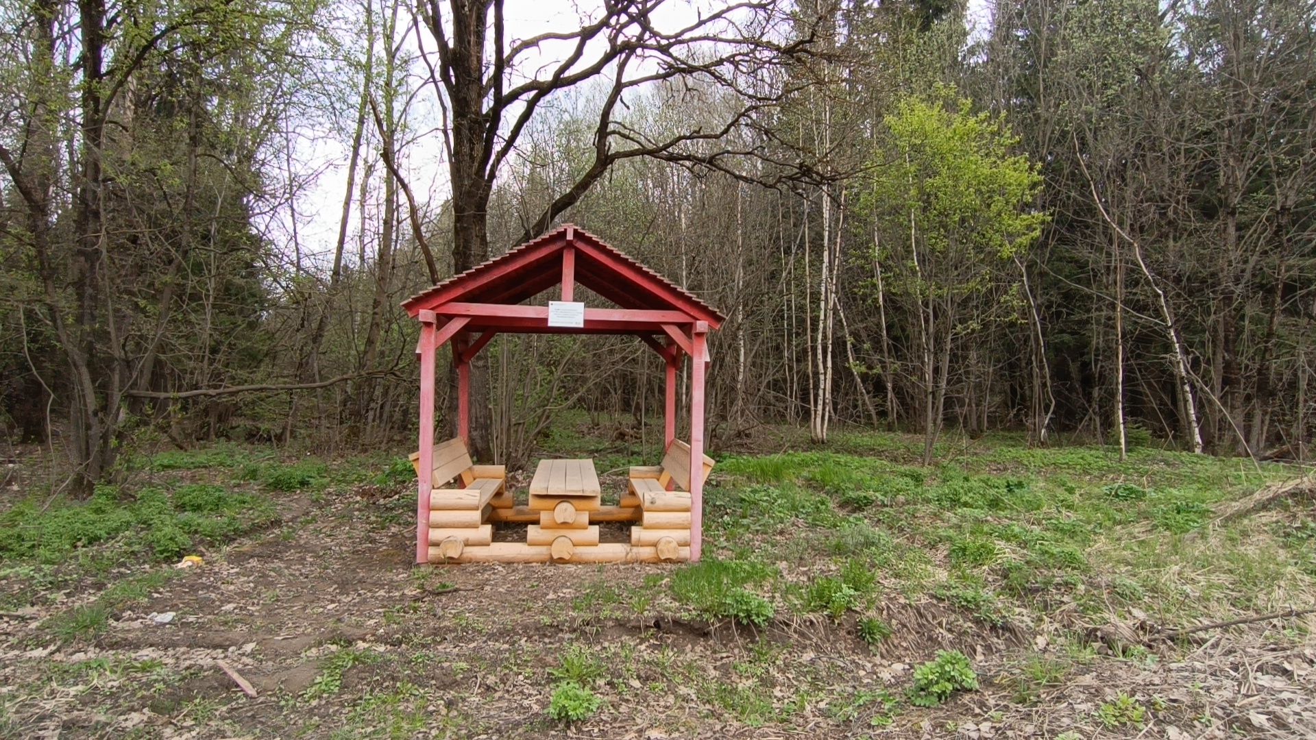 пикник, лобня, костер,