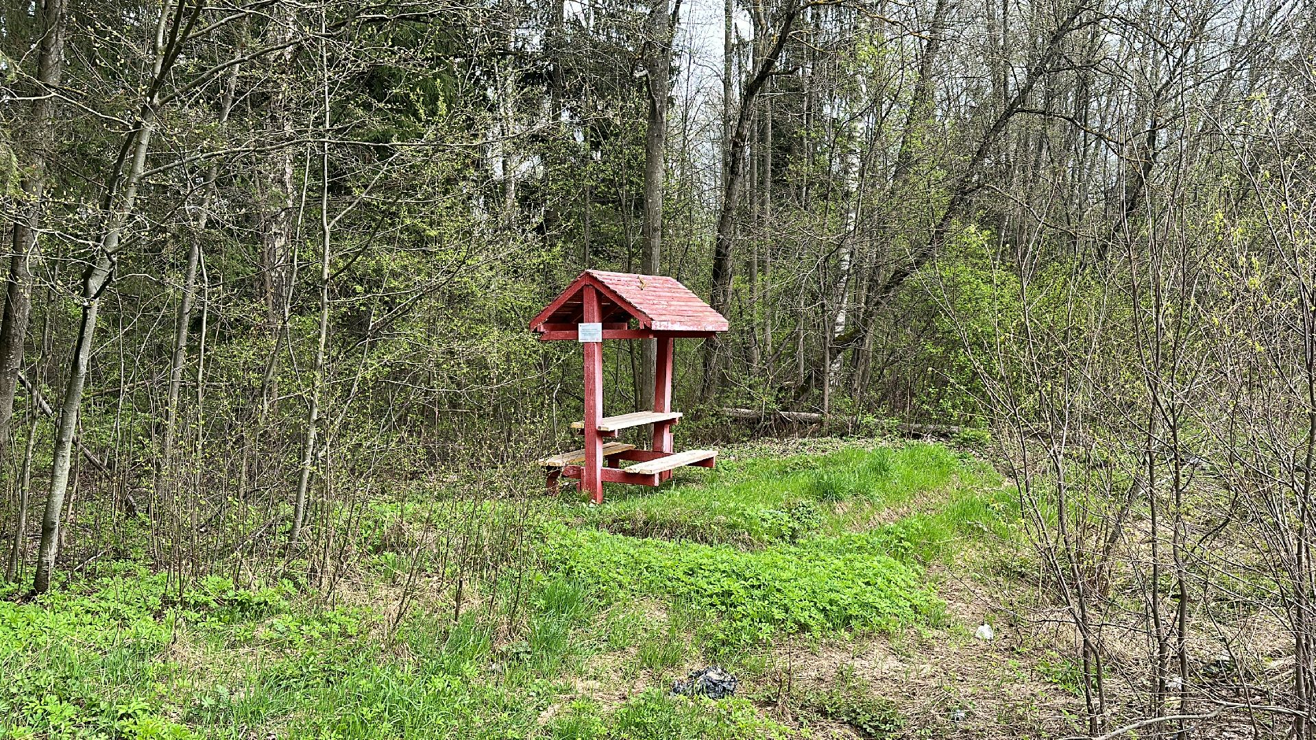 Клин, общество, безопасность, отдых на природе, лесные пожары,
