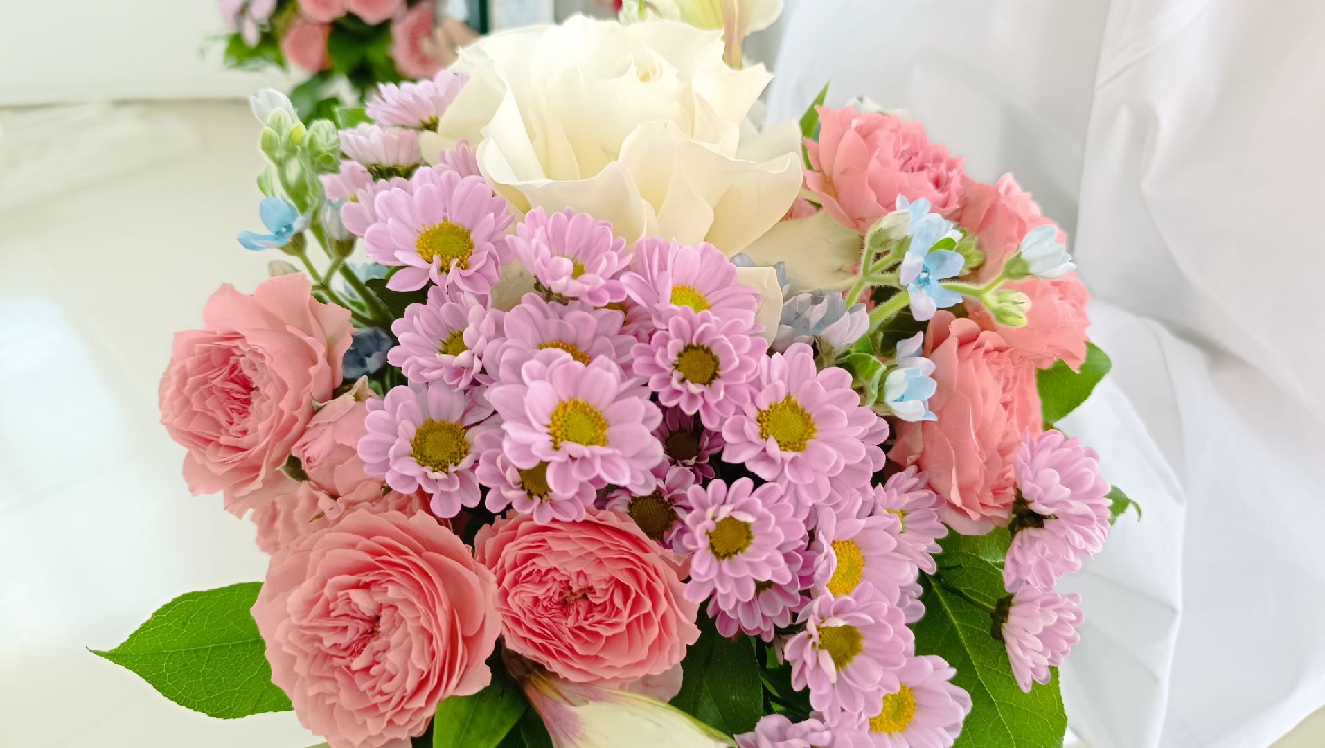 спорт, плавание, лобня,