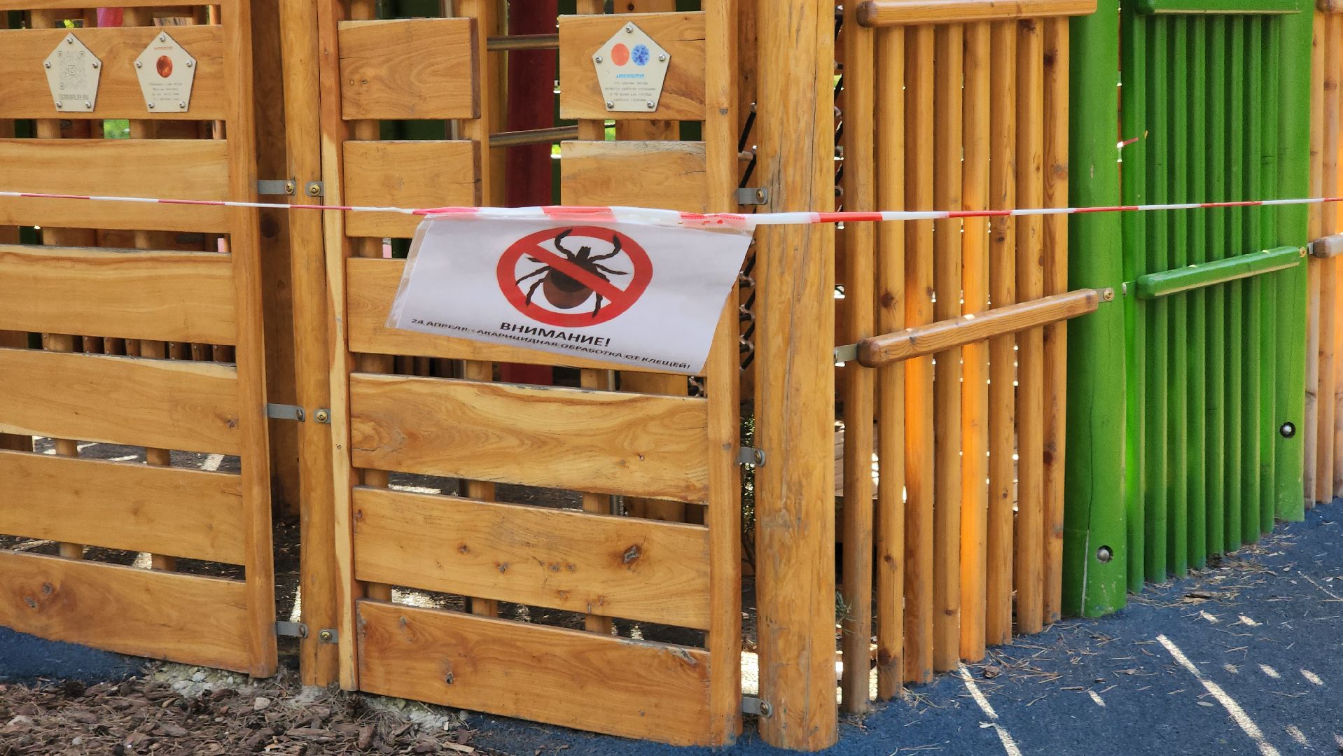 противоклещевая обработка, кузьминский лес,