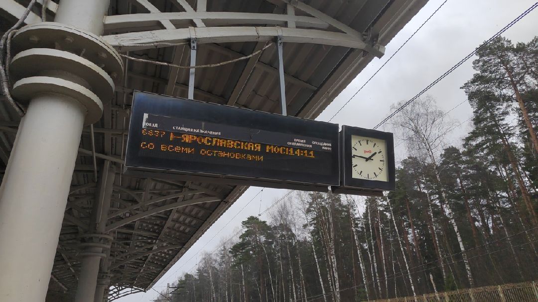 Пушкино, Пушкинский округ, Ивантеевка, полиция, уголовное дело, наркотики, преступник, электропоезд, транспортная полиция, закон и порядок