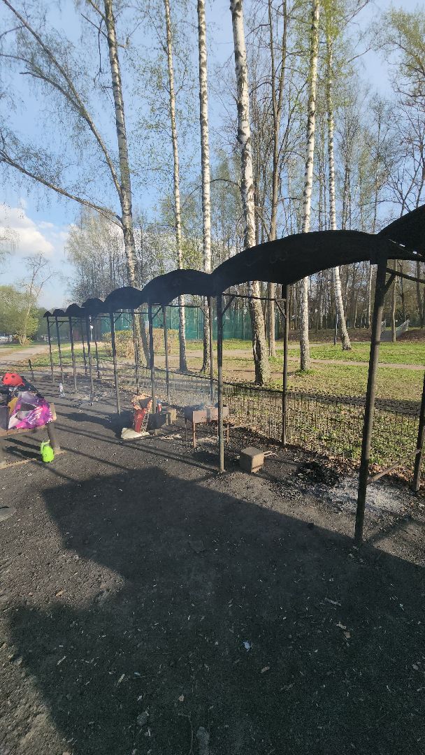 долгопрудный, Парк Мысово, шашлык, пикник, лесной пожар,