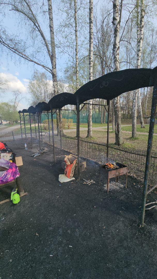 долгопрудный, Парк Мысово, шашлык, пикник, лесной пожар,