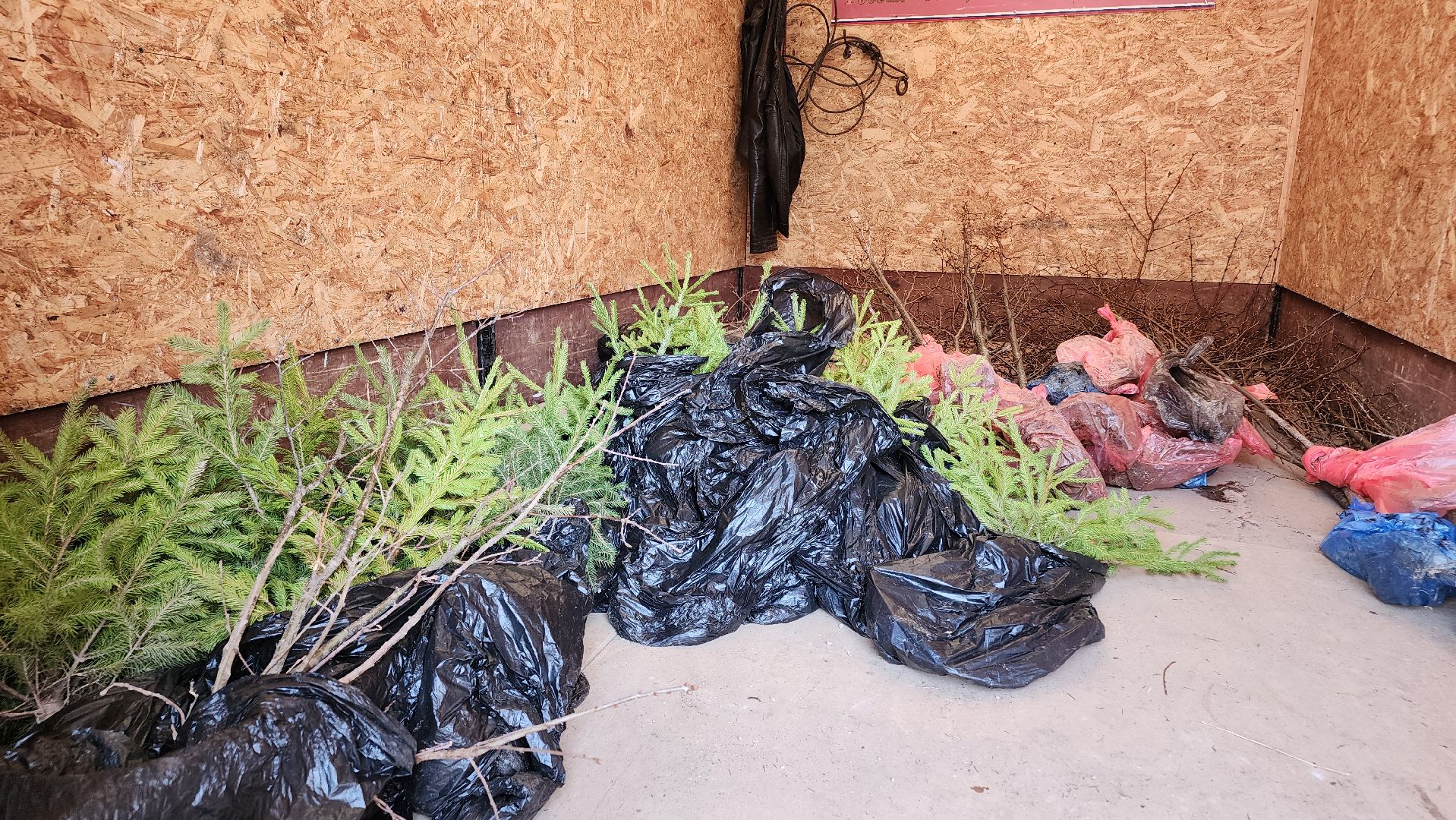 Егорьевск, Подмосковье, Московская область, экологическая акция, школьники,