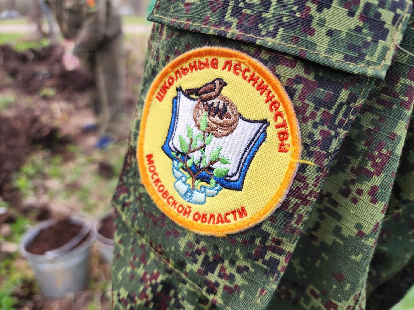 можайск, можайский городской округ, подмосковье, питомник, дети, школьные лесничества, юные лесничие, сад, своими руками, весенние работы, друзья леса, экология, тропарево, участковое лесничество, мособллес,