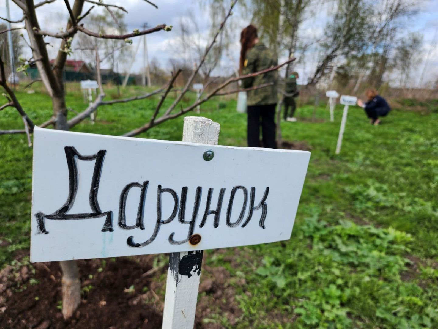 можайск, можайский городской округ, подмосковье, питомник, дети, школьные лесничества, юные лесничие, сад, своими руками, весенние работы, друзья леса, экология, тропарево, участковое лесничество, мособллес,
