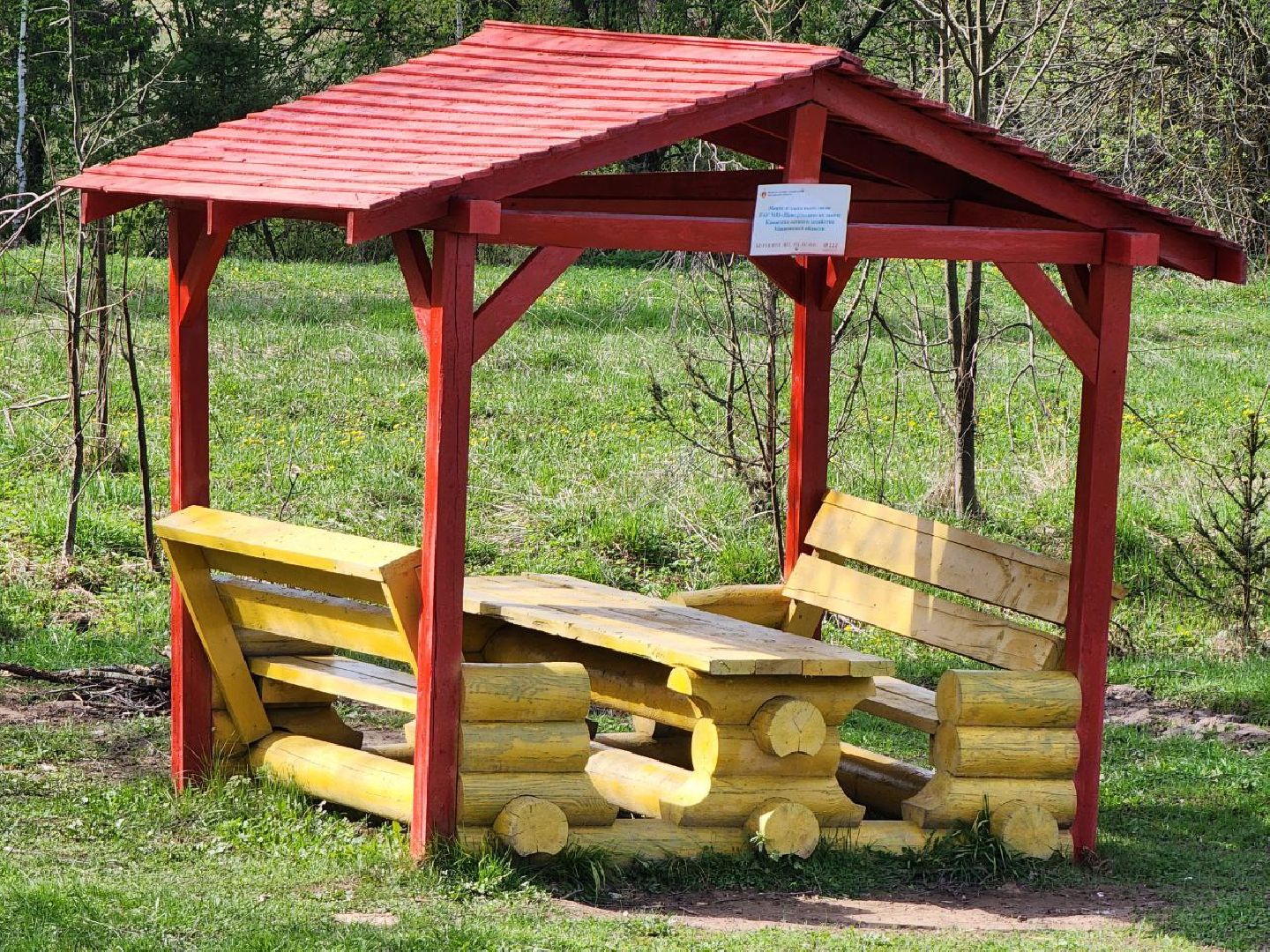 можайск, можайский городской округ, подмосковье, зоны отдыха, весна, лес, пожароопасный сезон, отдых в лесах,