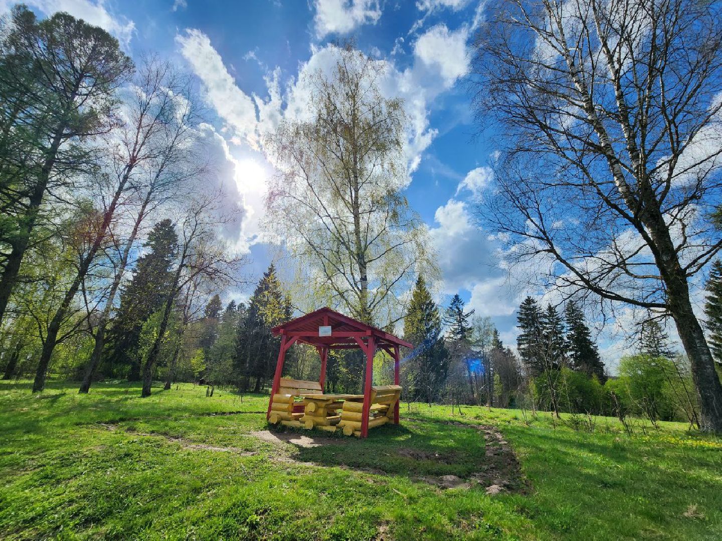 можайск, можайский городской округ, подмосковье, зоны отдыха, весна, лес, пожароопасный сезон, отдых в лесах,
