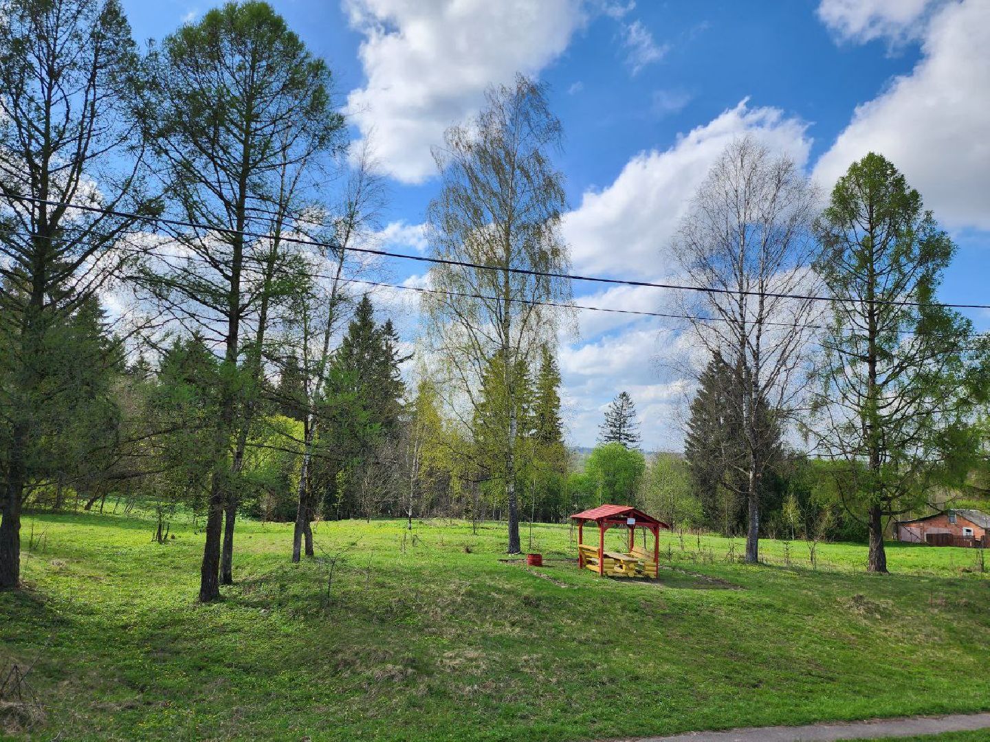 можайск, можайский городской округ, подмосковье, зоны отдыха, весна, лес, пожароопасный сезон, отдых в лесах,