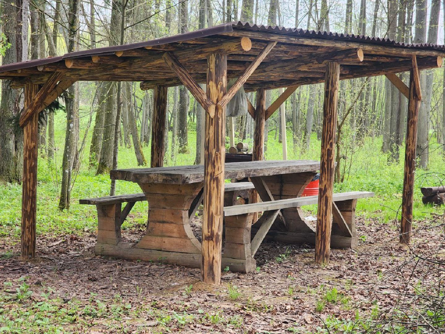 можайск, можайский городской округ, подмосковье, парк памяти, зона отдыха, лес, комитет лесного хозяйства, парк в лесу, благоустроенная территория,