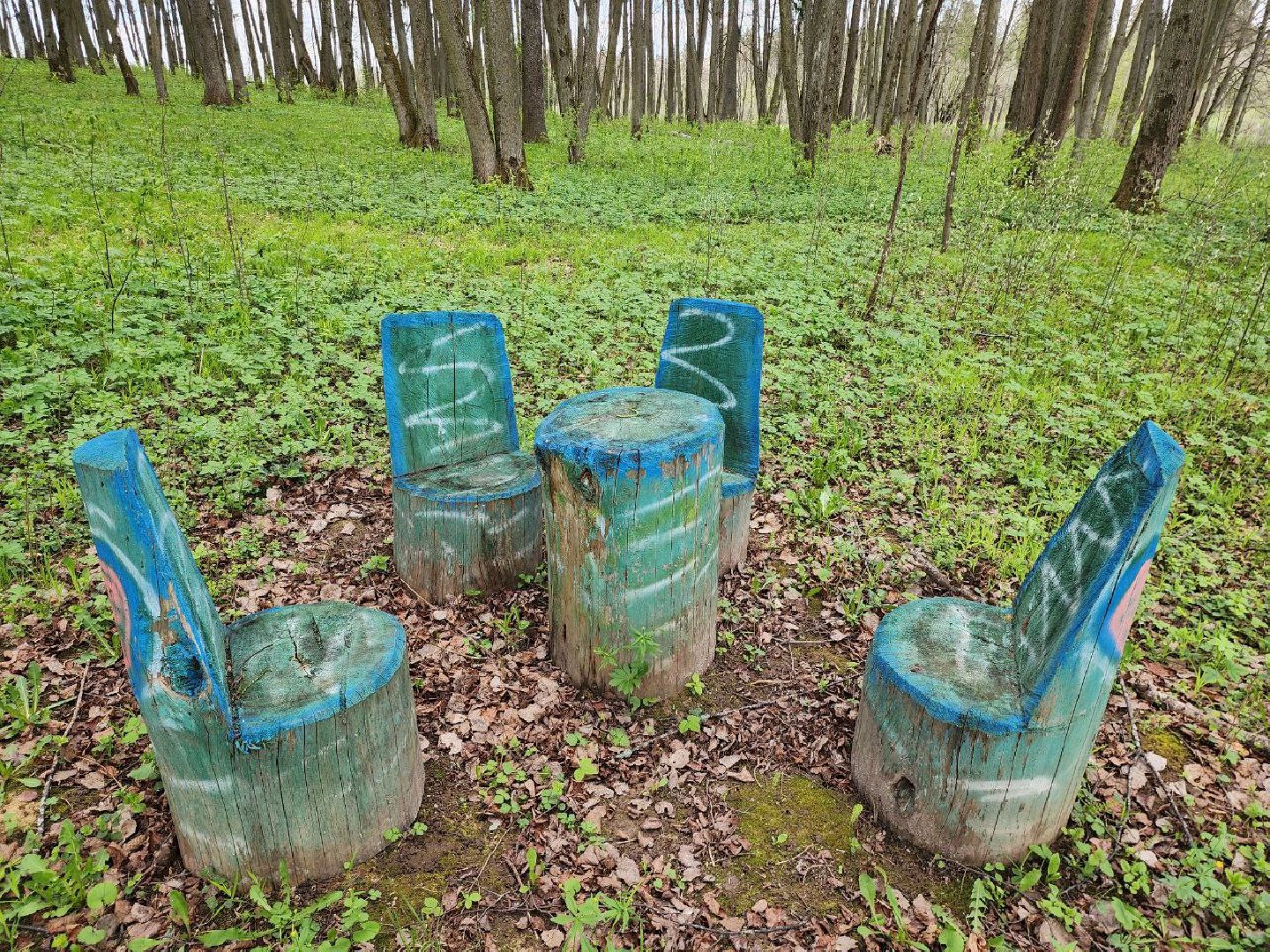 можайск, можайский городской округ, подмосковье, парк памяти, зона отдыха, лес, комитет лесного хозяйства, парк в лесу, благоустроенная территория,
