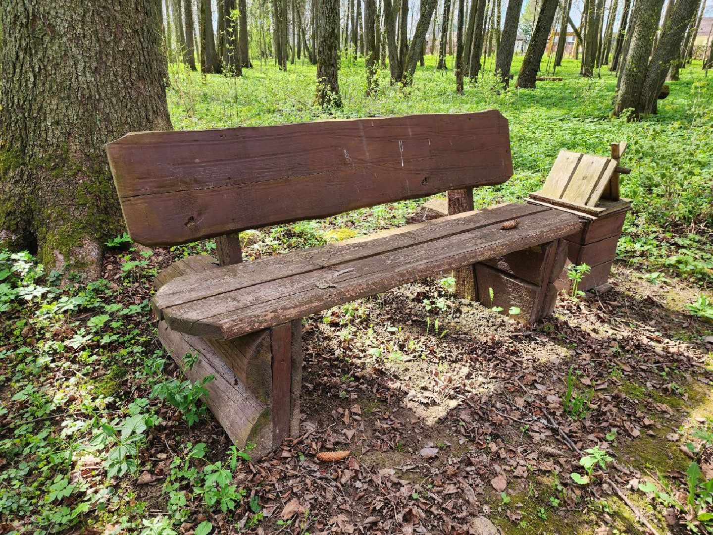 можайск, можайский городской округ, подмосковье, парк памяти, зона отдыха, лес, комитет лесного хозяйства, парк в лесу, благоустроенная территория,