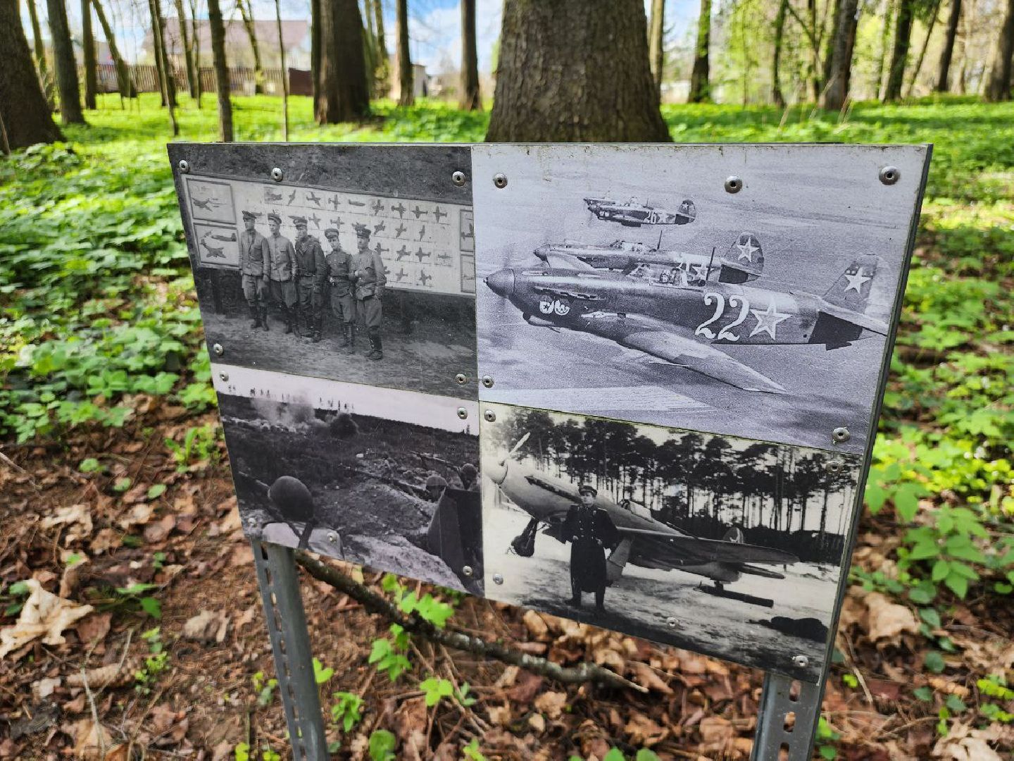 можайск, можайский городской округ, подмосковье, парк памяти, зона отдыха, лес, комитет лесного хозяйства, парк в лесу, благоустроенная территория,