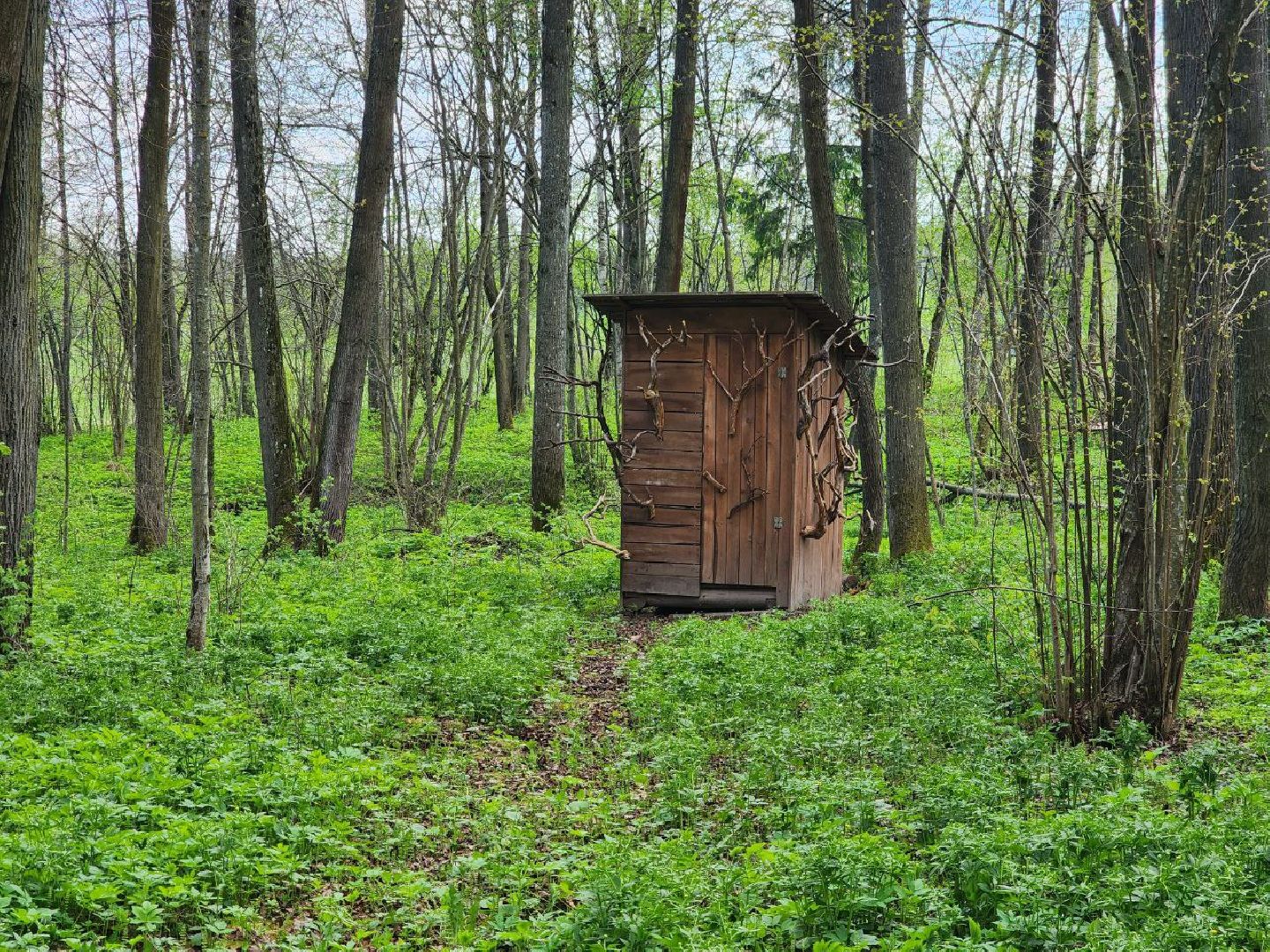 можайск, можайский городской округ, подмосковье, парк памяти, зона отдыха, лес, комитет лесного хозяйства, парк в лесу, благоустроенная территория,