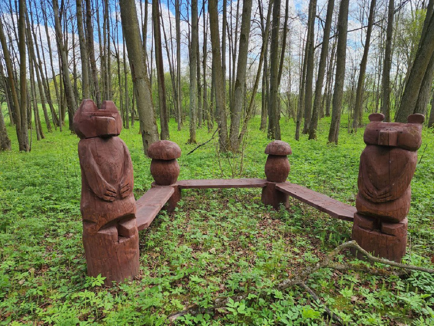 можайск, можайский городской округ, подмосковье, парк памяти, зона отдыха, лес, комитет лесного хозяйства, парк в лесу, благоустроенная территория,