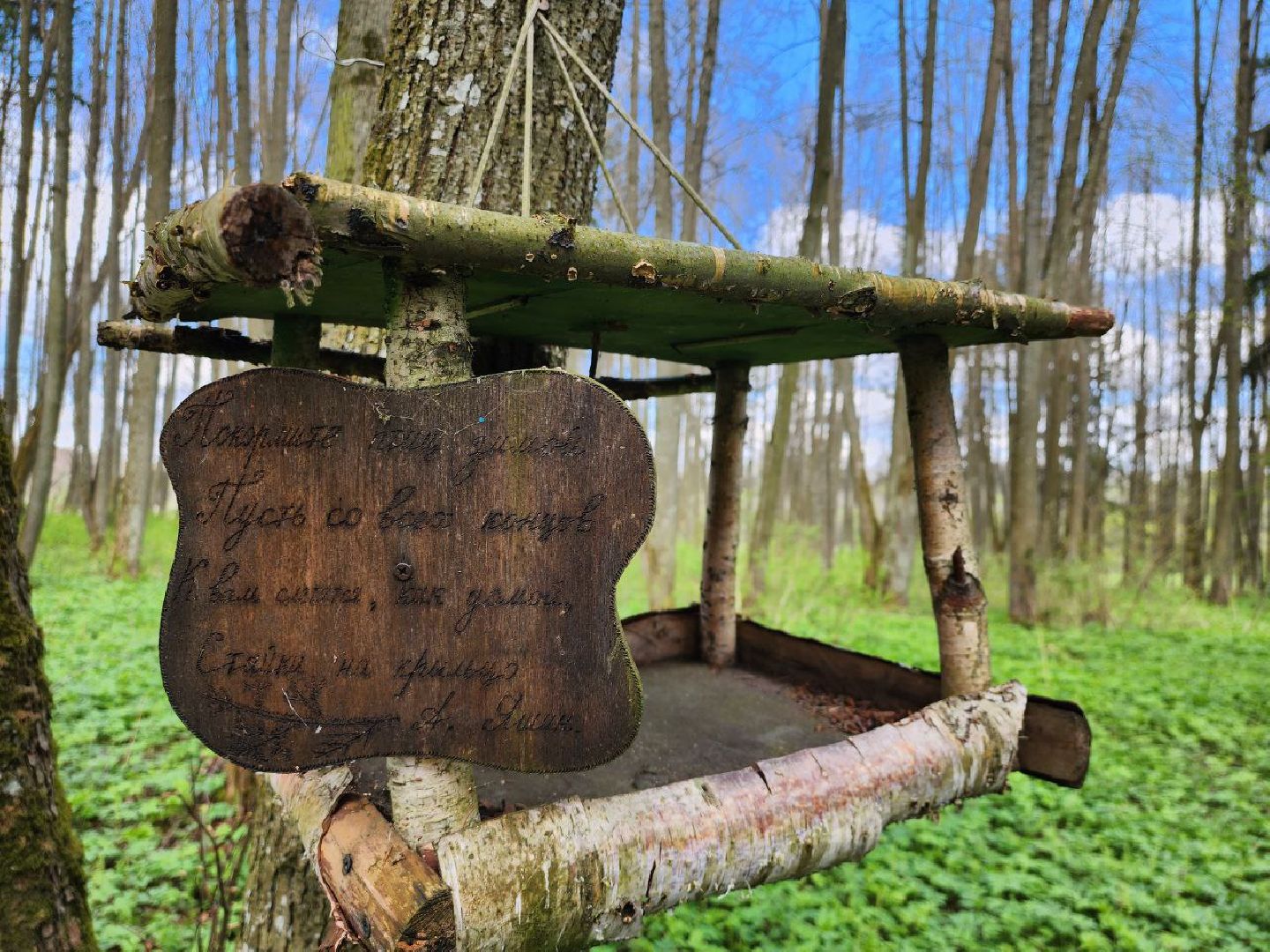 можайск, можайский городской округ, подмосковье, парк памяти, зона отдыха, лес, комитет лесного хозяйства, парк в лесу, благоустроенная территория,