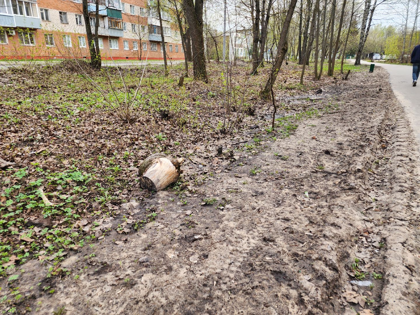 субботник, орехово-зуевский округ,